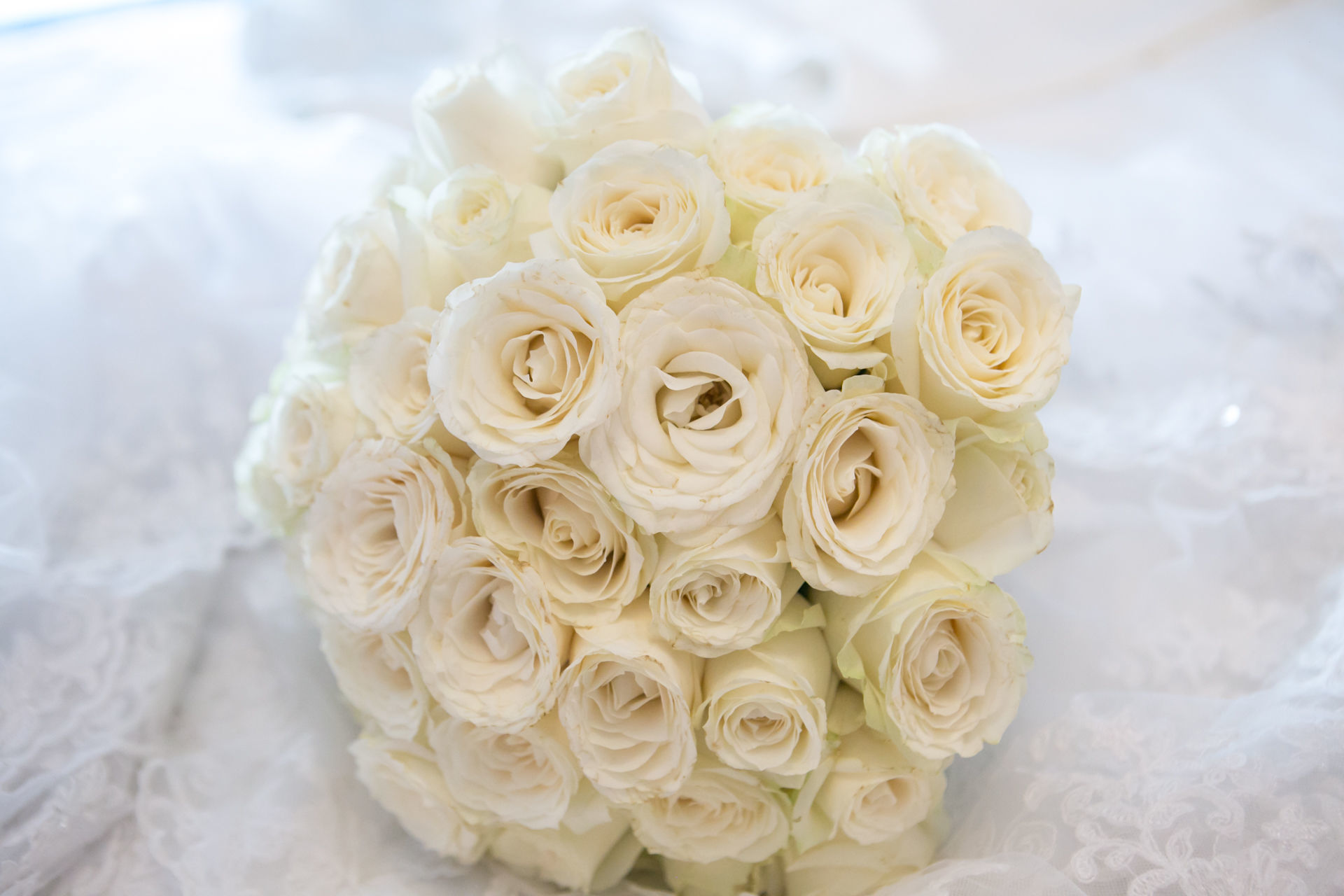 Foto Thamayres + Rafael  - Imagem 3