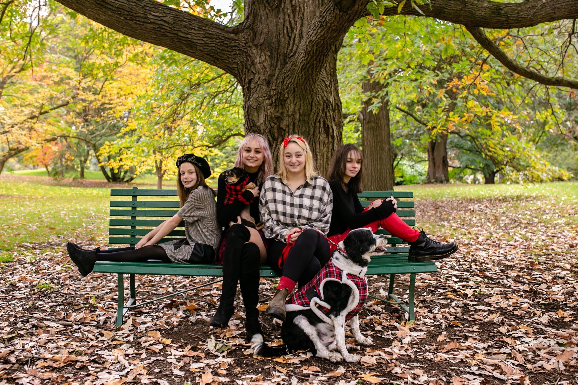 Foto Amazing Family -Ottawa Canada  - Imagem 12