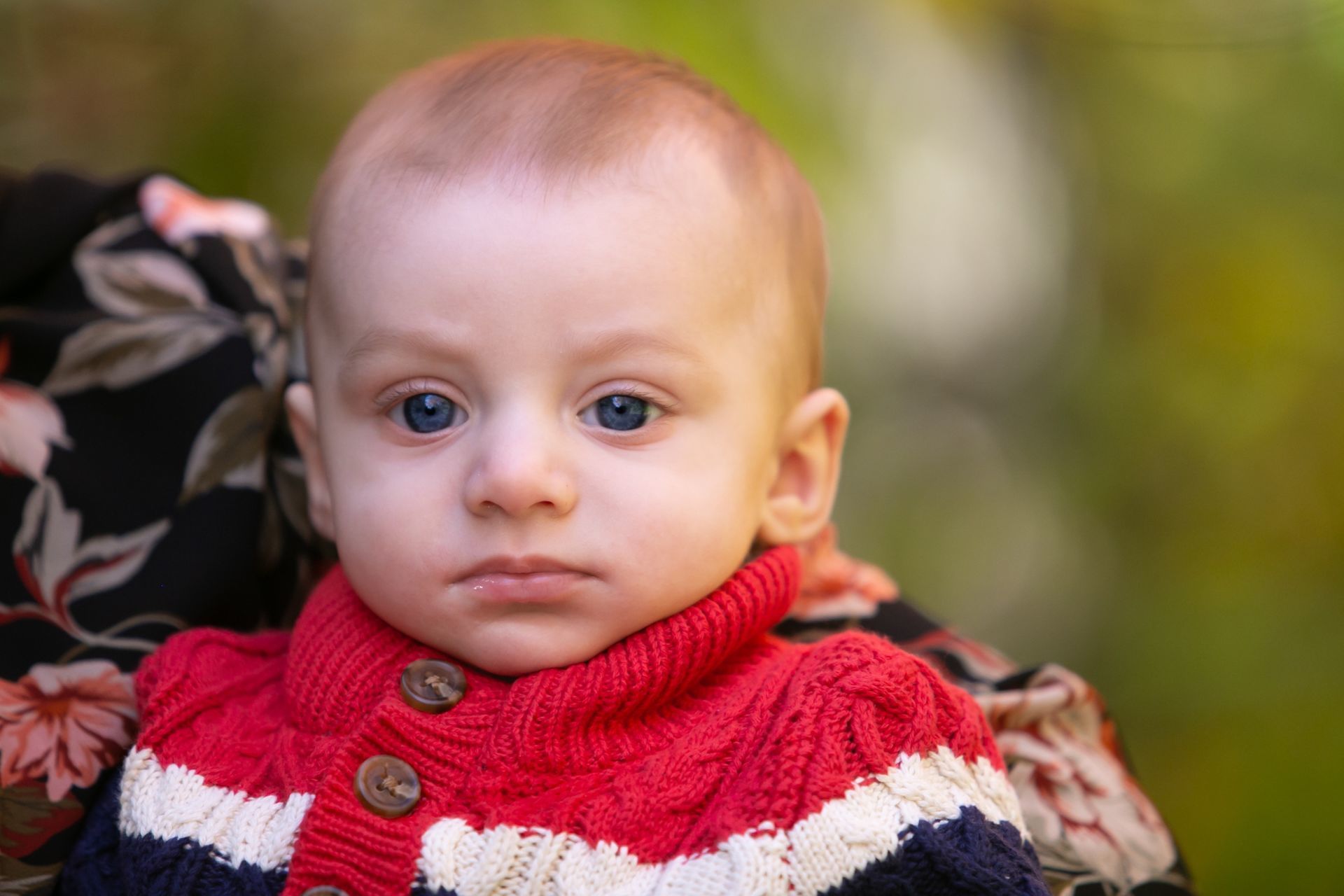 Foto Amazing Family -Ottawa Canada  - Imagem 12