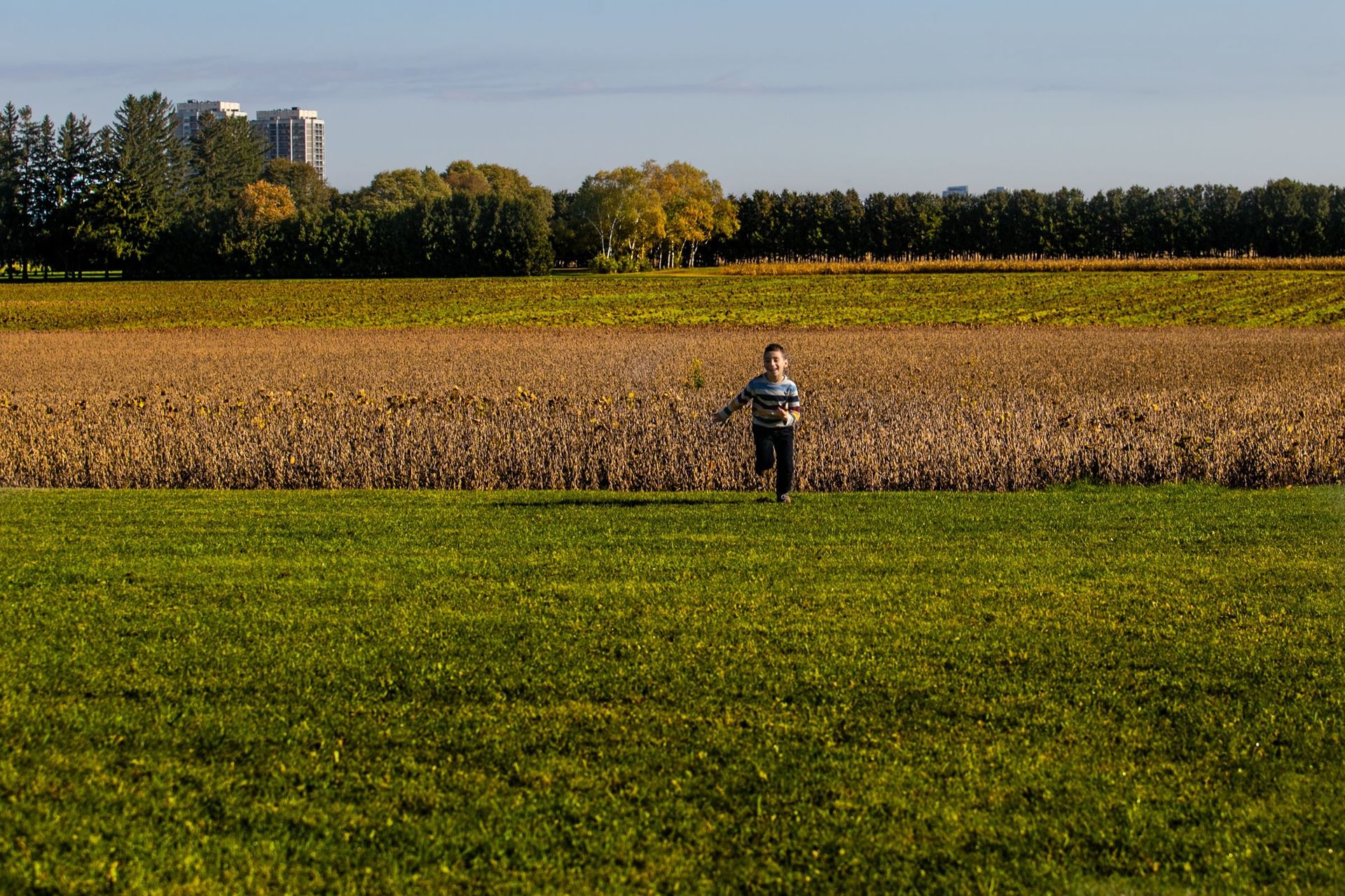 Foto Amazing Family -Ottawa Canada  - Imagem 7