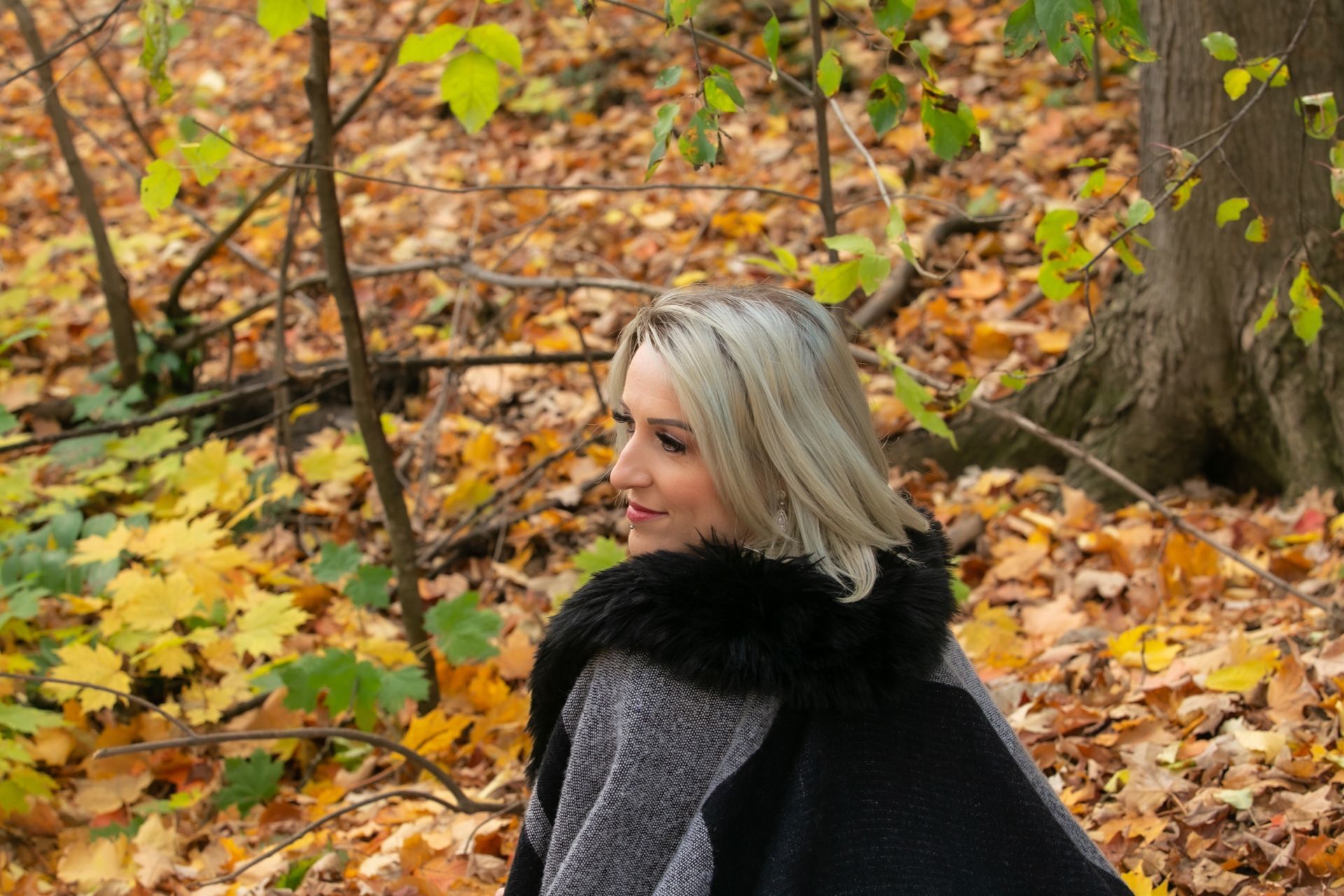 Foto Scott + Tanya -  Dominion Arboretum /Ottawa - Canada  - Imagem 21