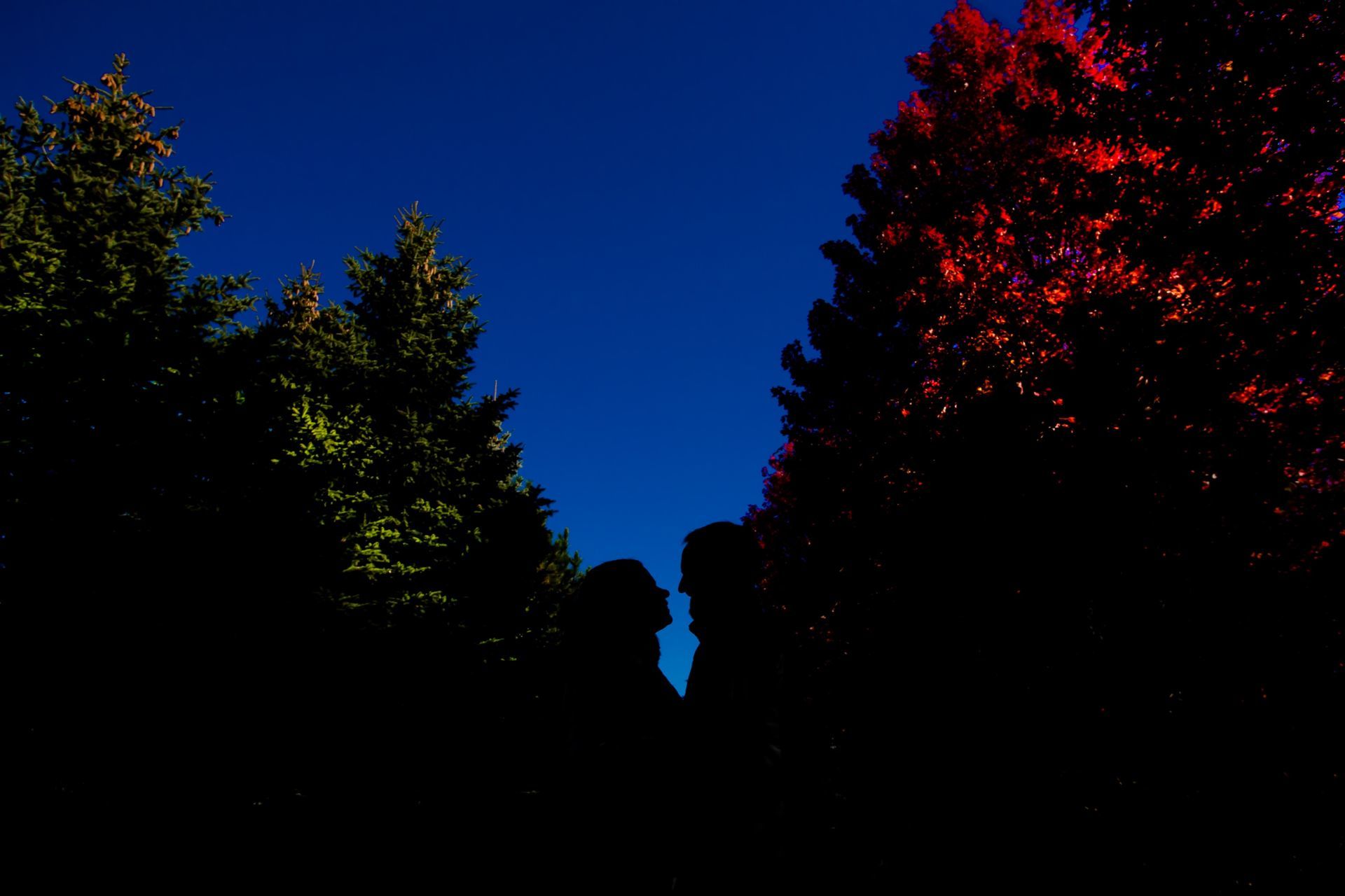 Foto Claudia + Fabio - Ottawa / Canada  - Imagem 6