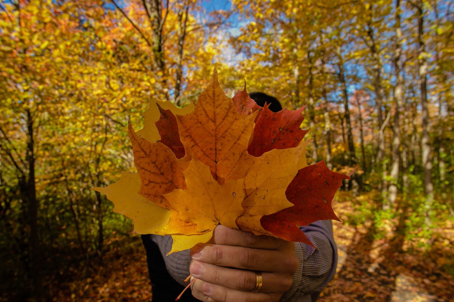 Foto Claudia + Fabio - Ottawa / Canada  - Imagem 7