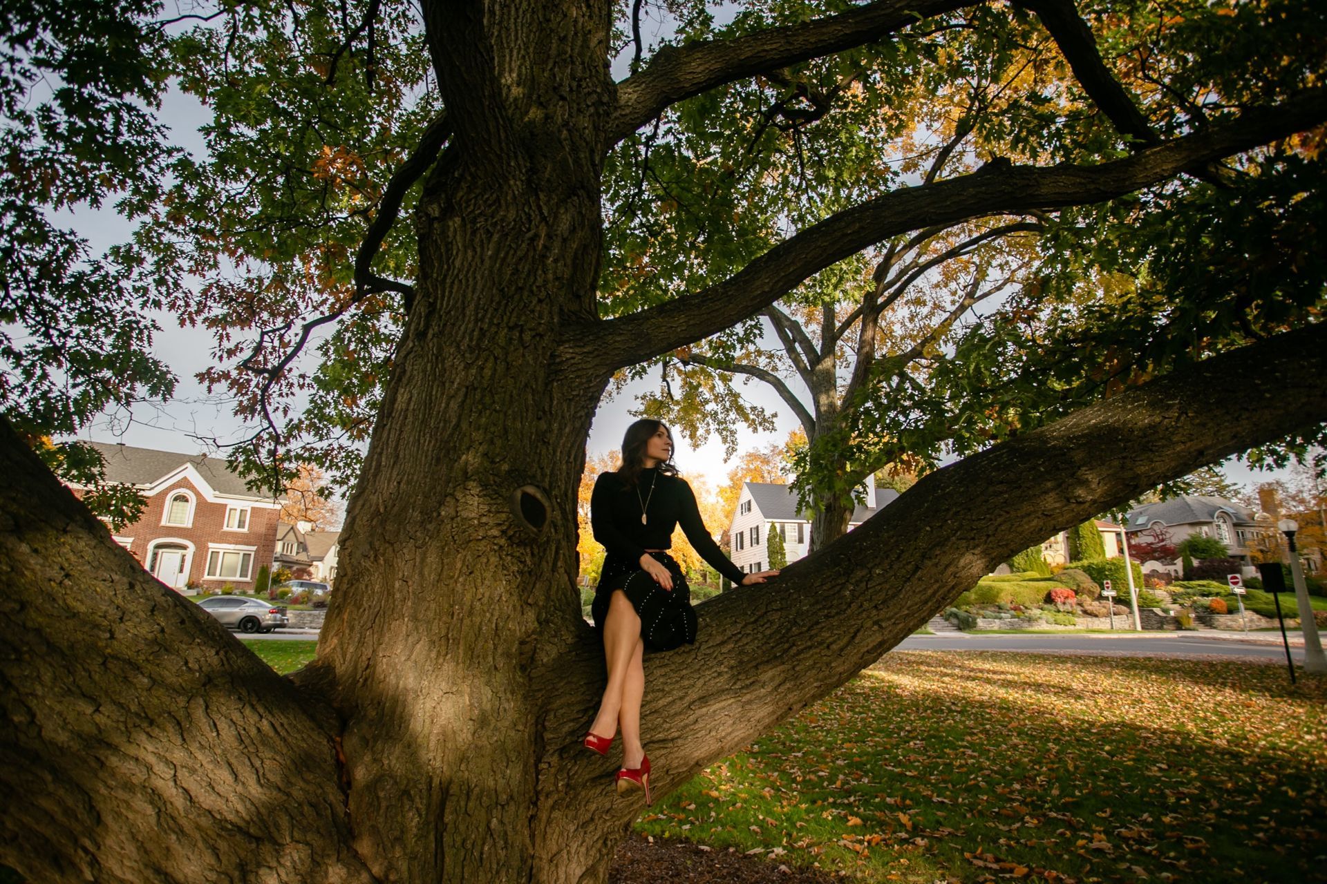 Foto Gleidston + Carine - Ottawa / Canada  - Imagem 10