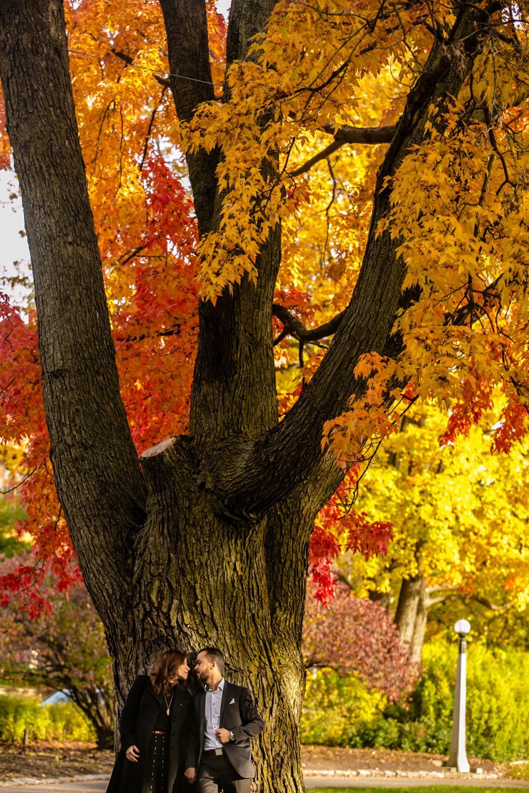 Foto Gleidston + Carine - Ottawa / Canada  - Imagem 17