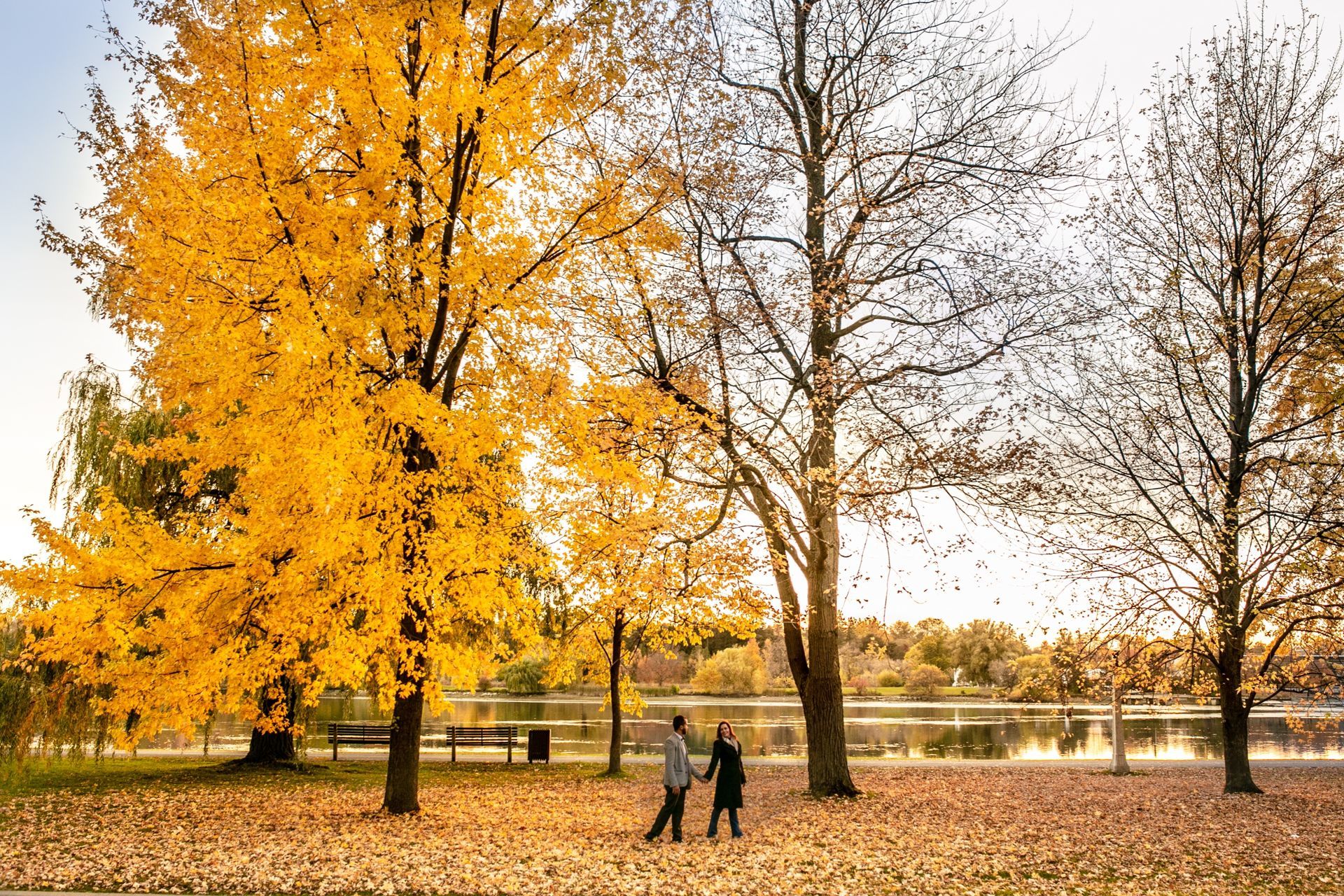 Foto Gleidston + Carine - Ottawa / Canada  - Imagem 12