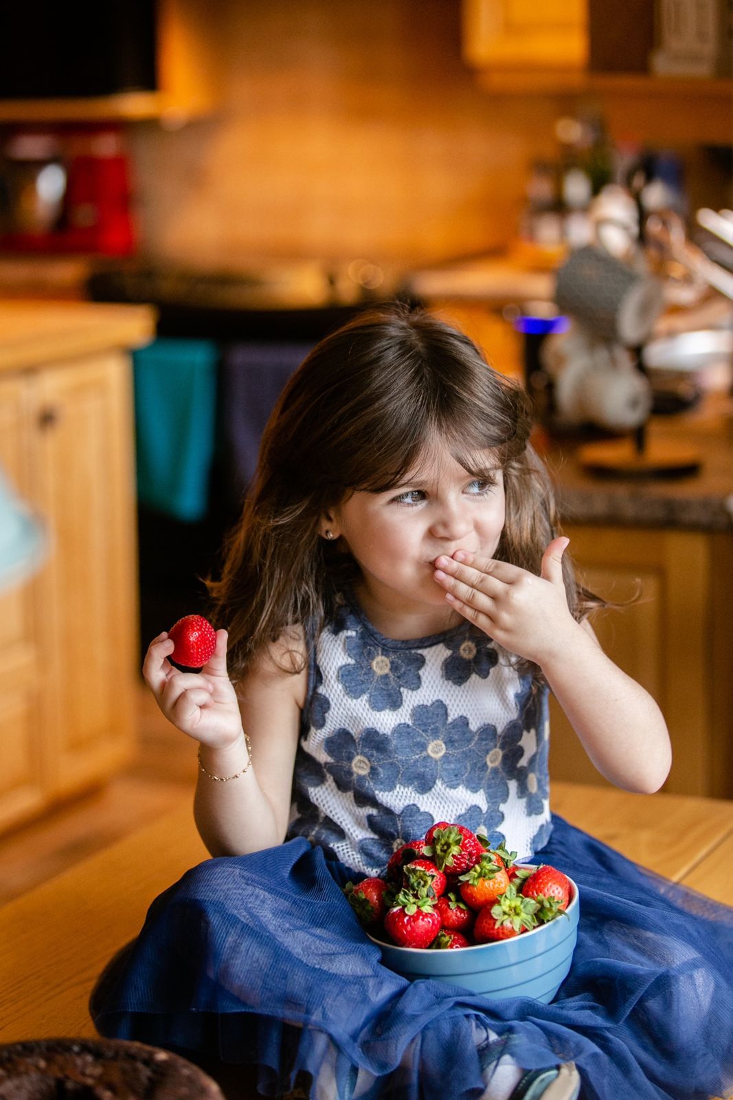 Foto Family - Gatineau / Quebec  - Imagem 0