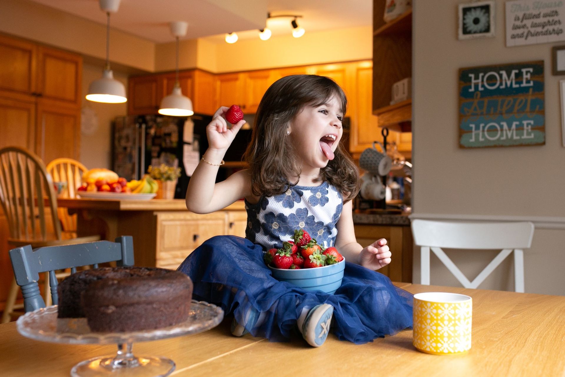 Foto Family - Gatineau / Quebec  - Imagem 12