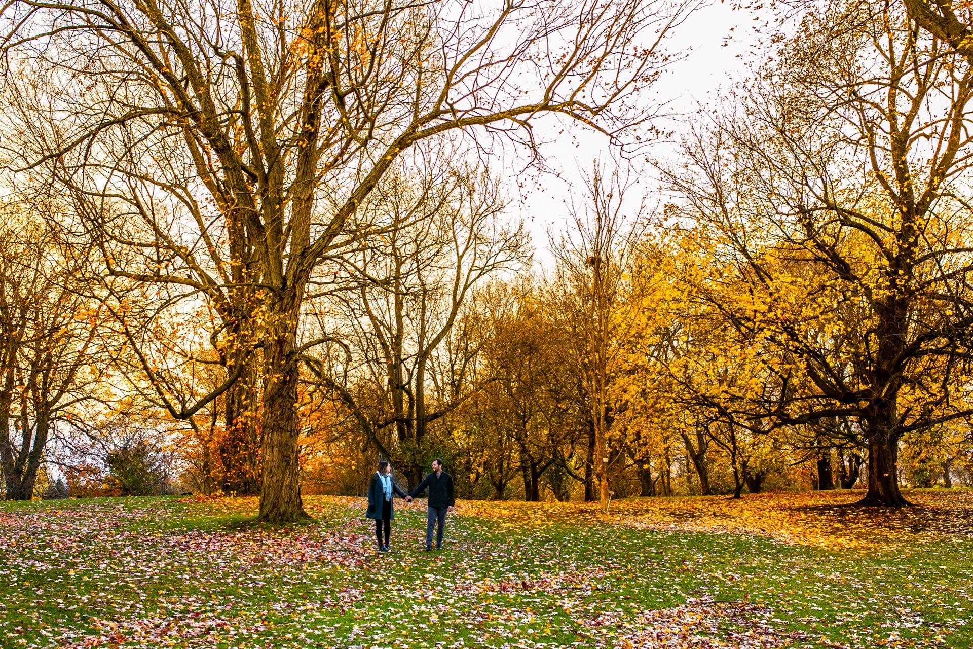 Foto Marcius + Karine / Ottawa / Dominum Arboretum  - Imagem 2