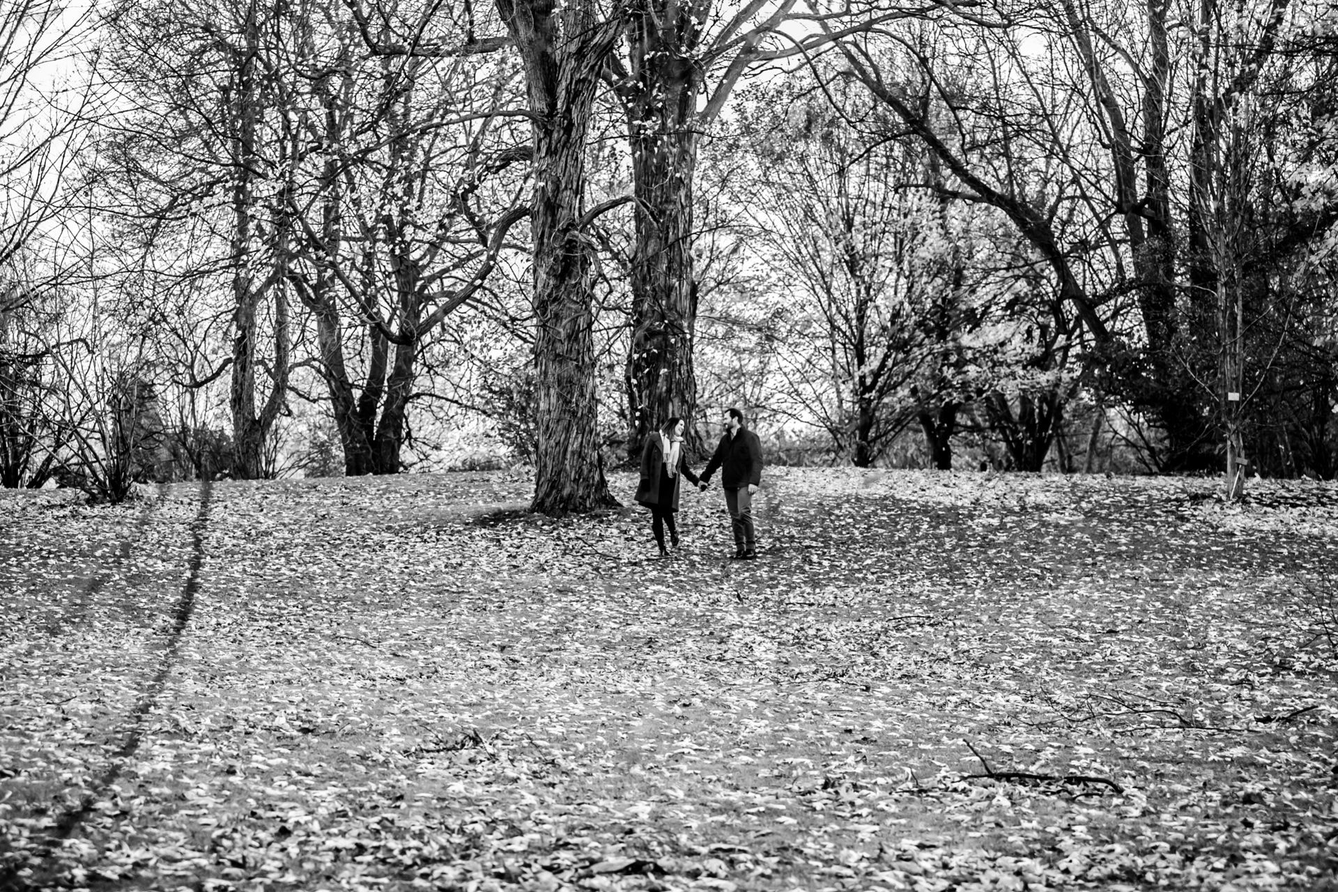 Foto Marcius + Karine / Ottawa / Dominum Arboretum  - Imagem 1