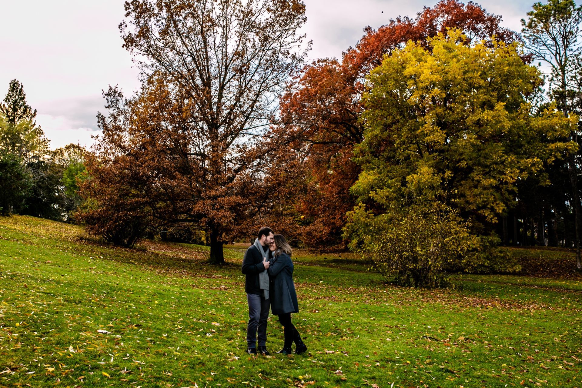 Foto Marcius + Karine / Ottawa / Dominum Arboretum  - Imagem 49