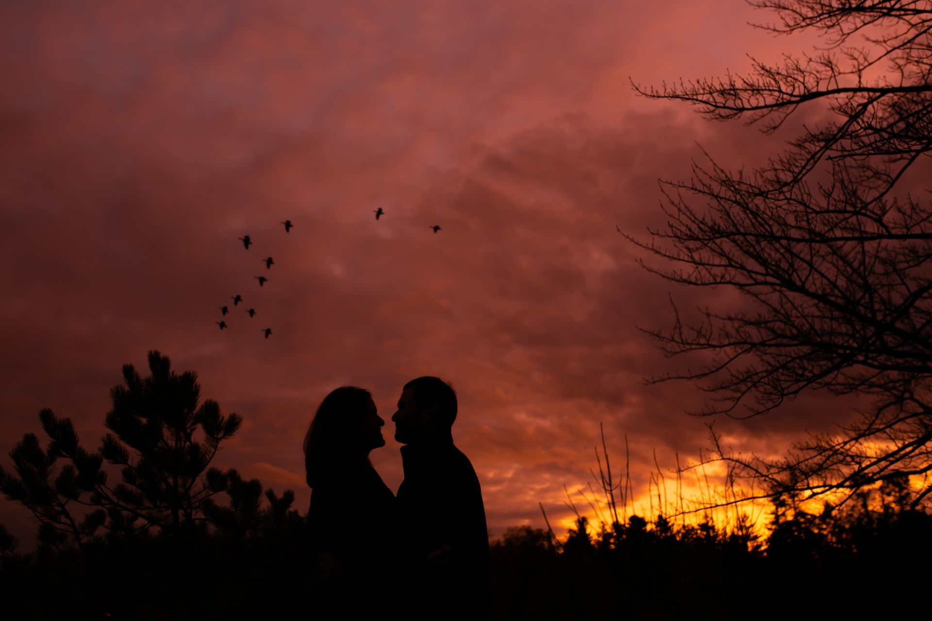 Foto Marcius + Karine / Ottawa / Dominum Arboretum  - Imagem 67