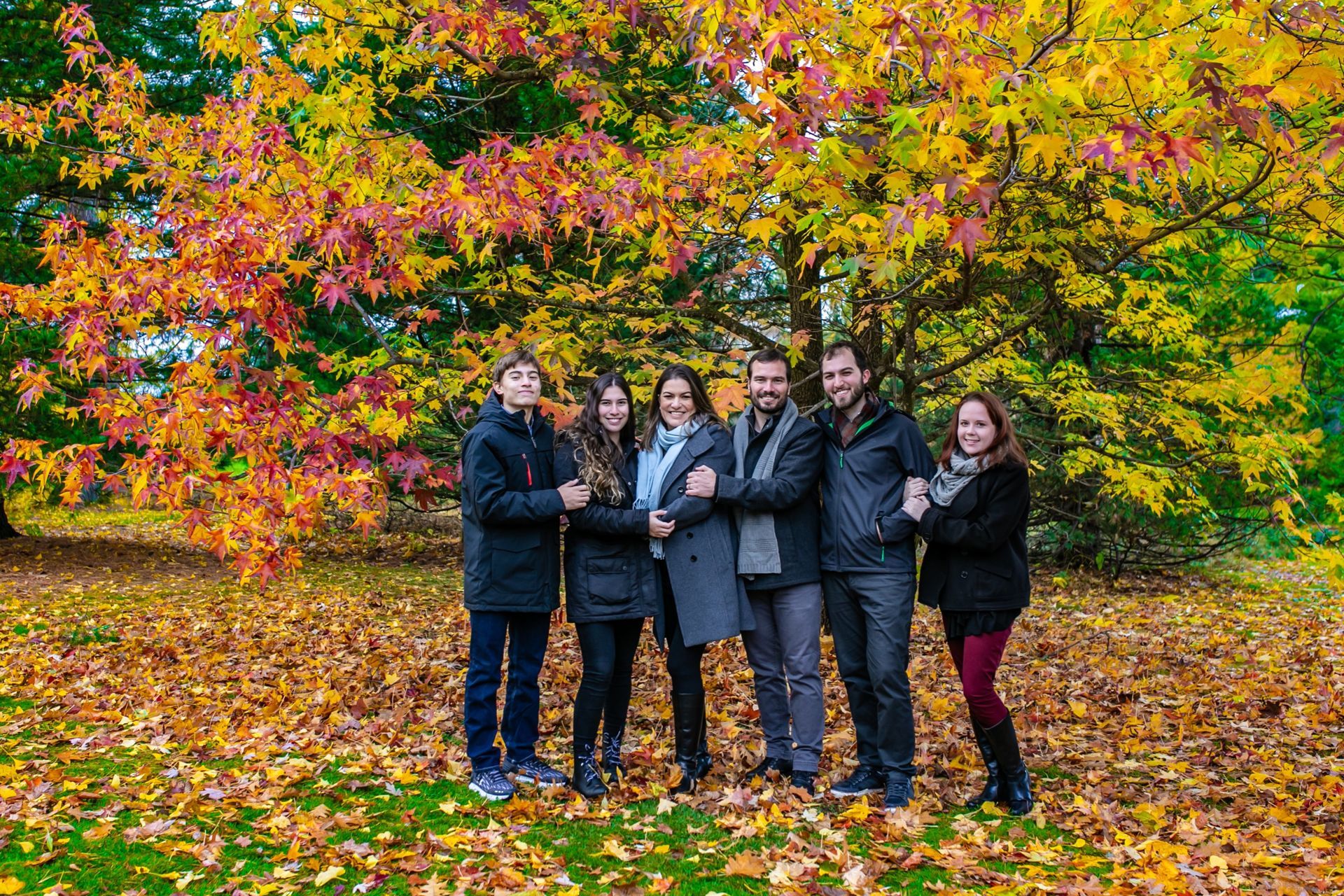 Foto / Ottawa / Dominum Arboretum  - Imagem 23