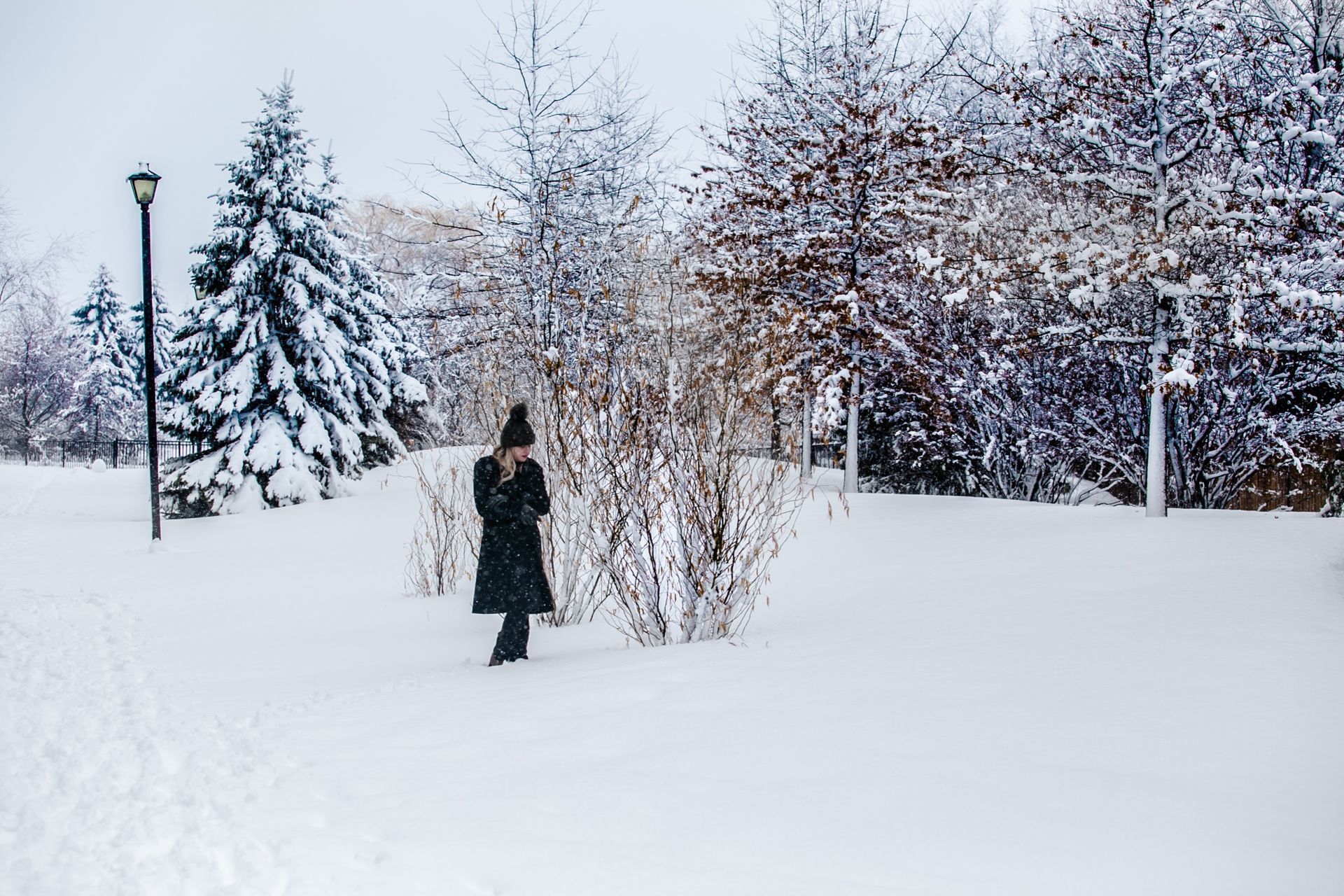 Foto Eliane - Ottawa  - Imagem 1