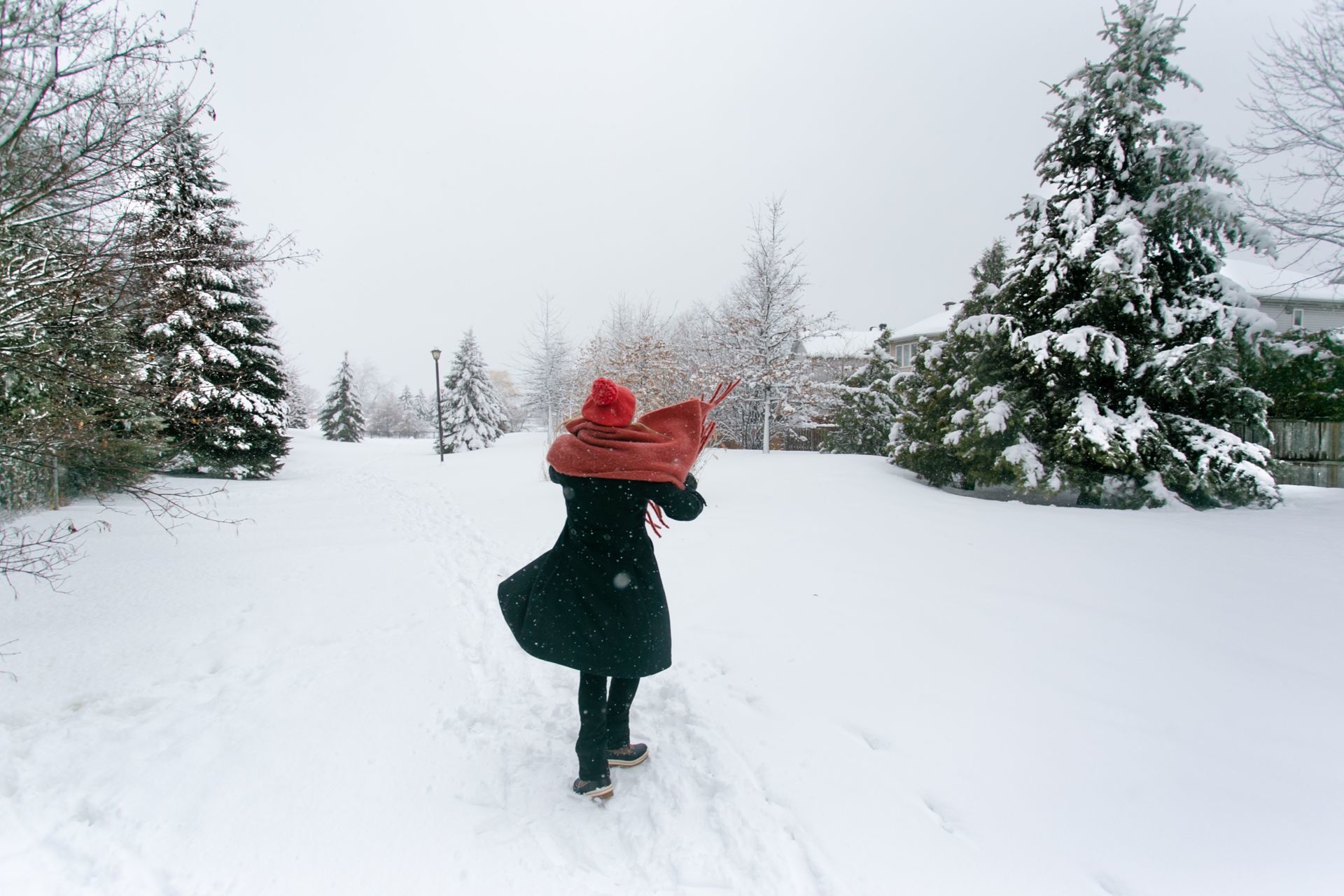 Foto Eliane - Ottawa  - Imagem 19