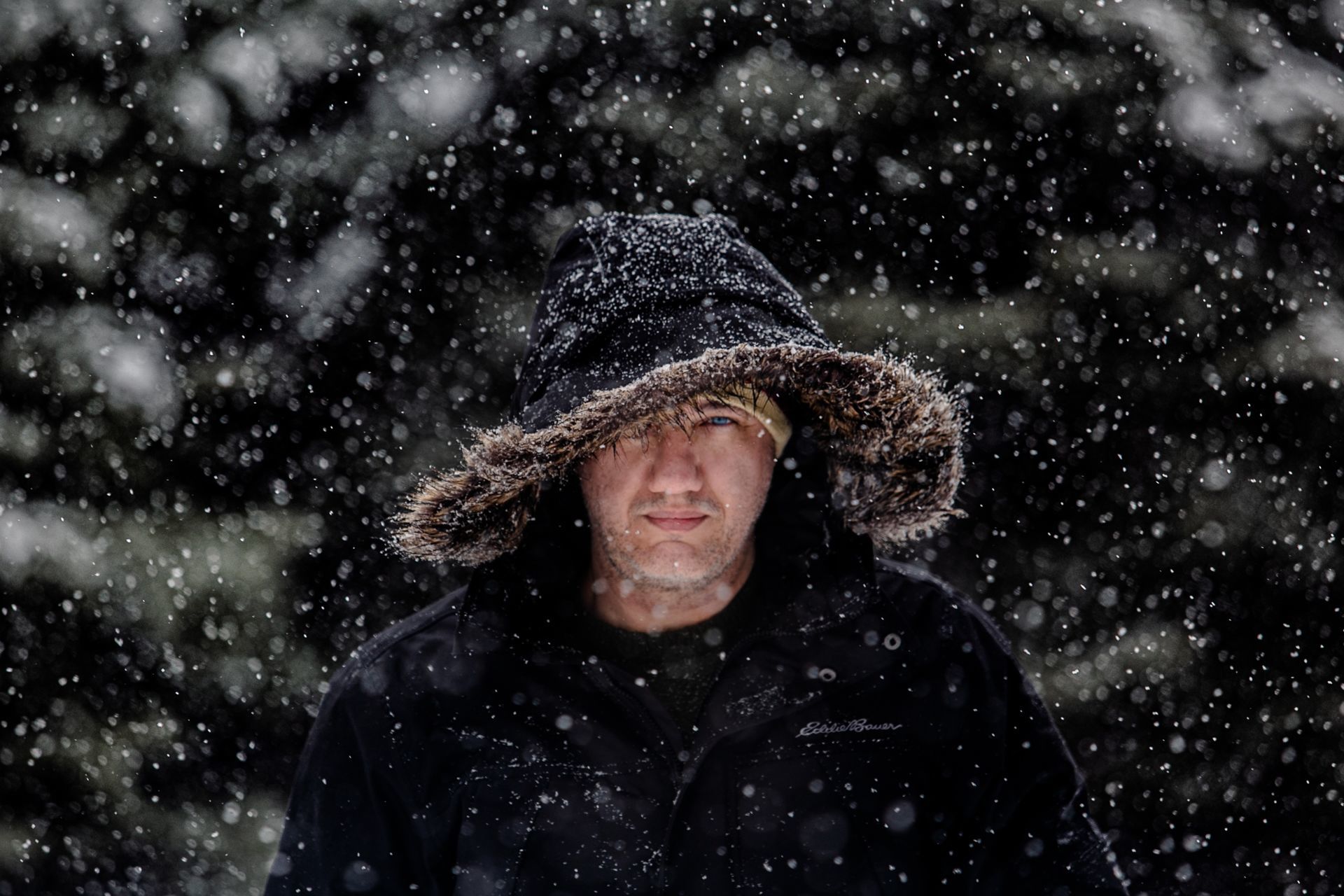 Foto Li - Ottawa  - Imagem 21