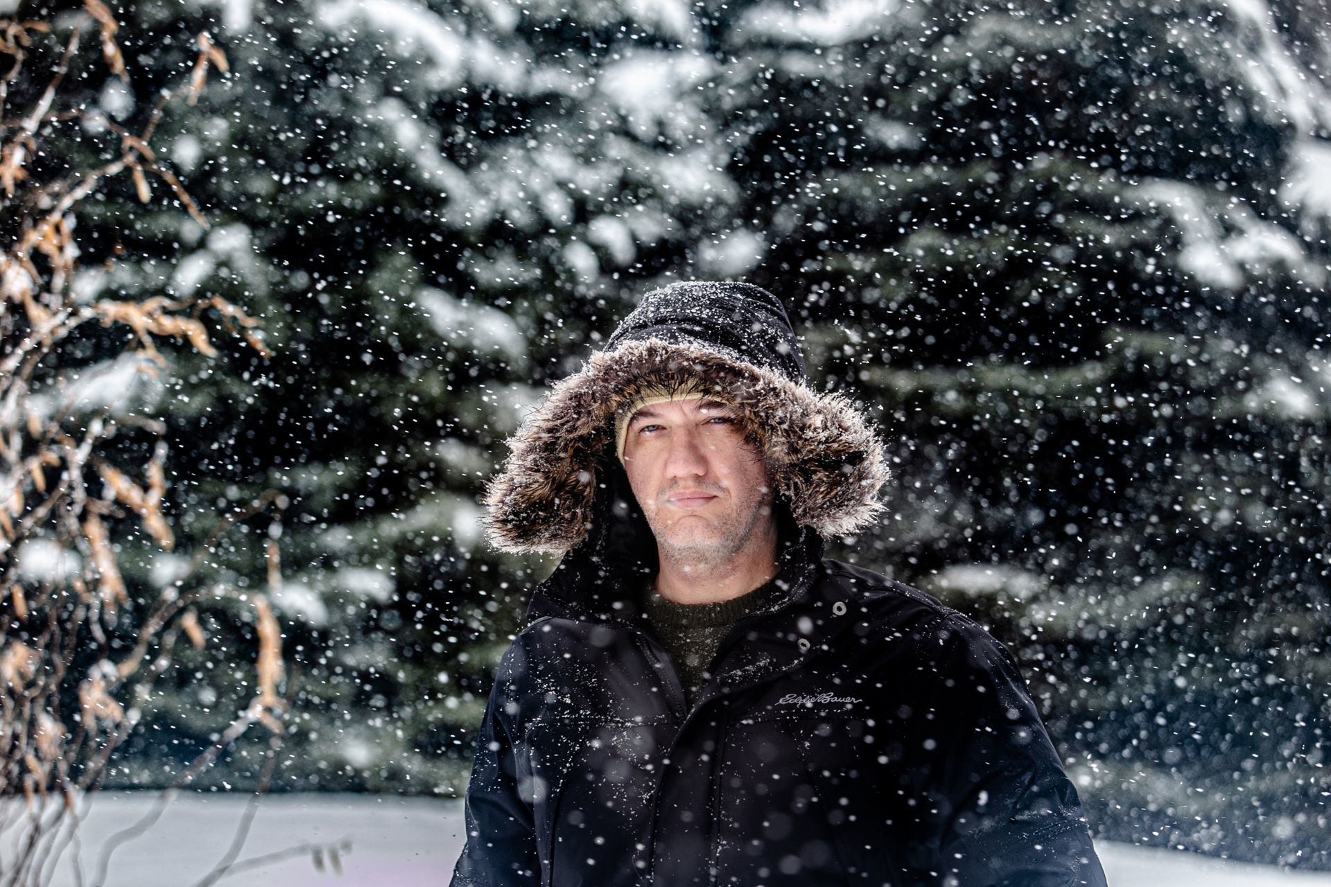 Foto Li - Ottawa  - Imagem 20