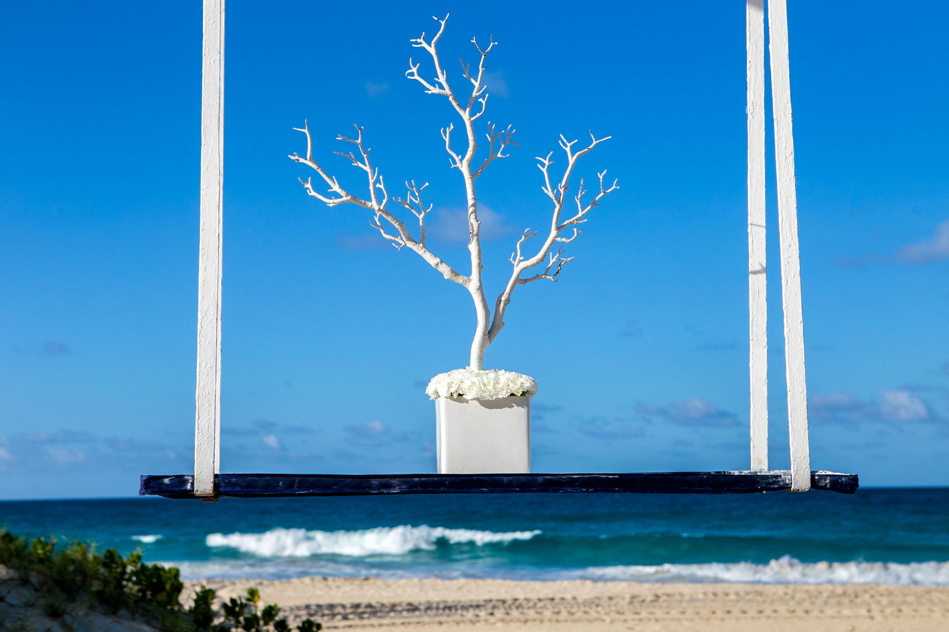 Foto Bruna + Vini Wedding  - Imagem 1