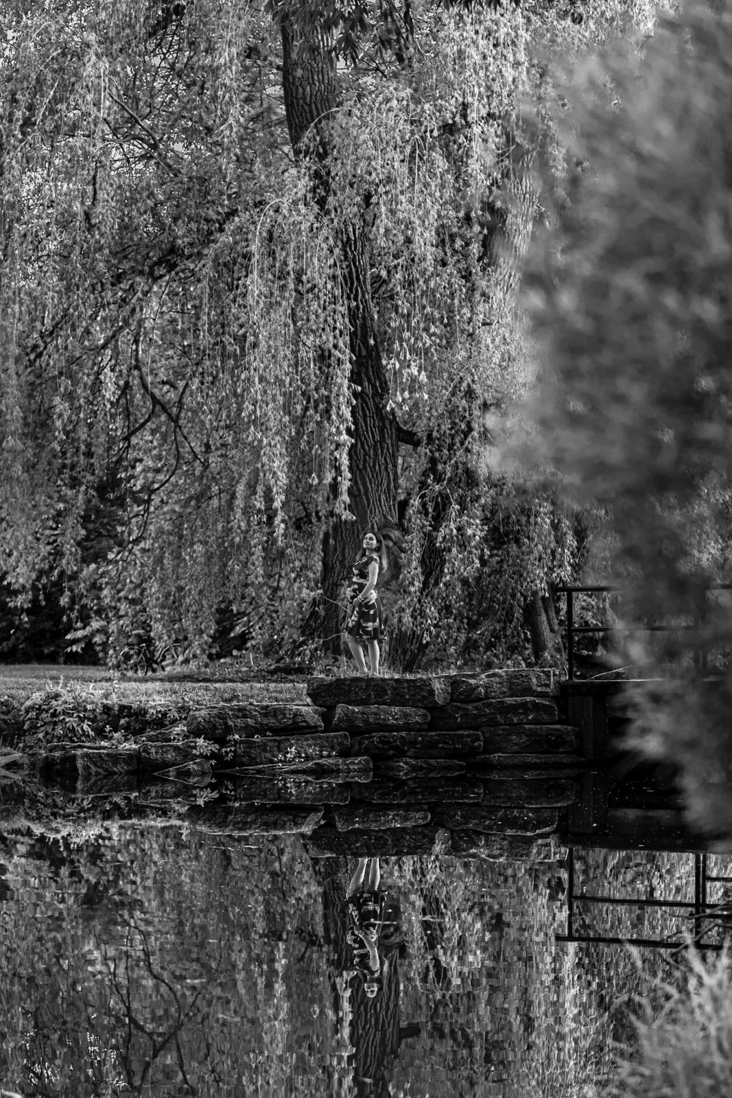 Foto Rafa+Nati Dominion Arboretum  - Imagem 14