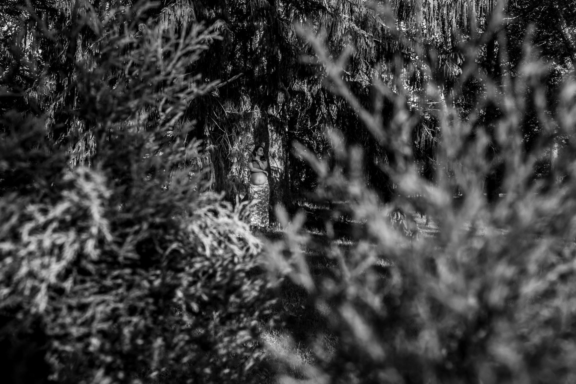 Foto Rafa+Nati Dominion Arboretum  - Imagem 12