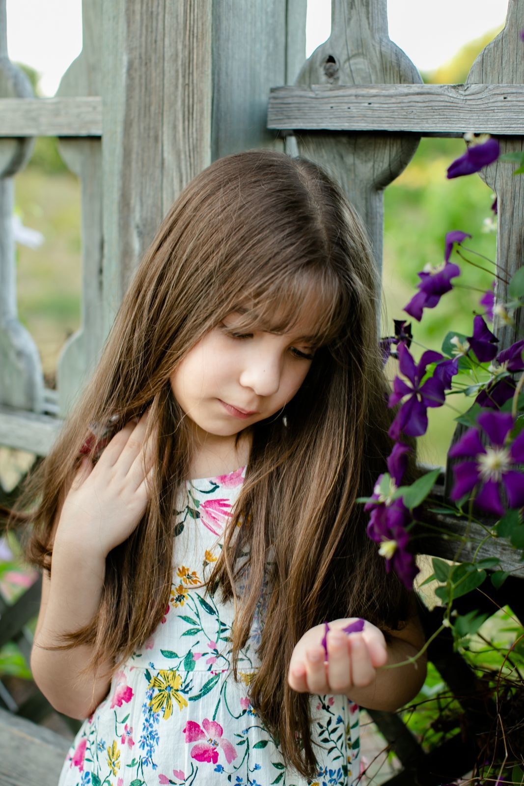 Foto Family - Ottawa / Canada  - Imagem 3