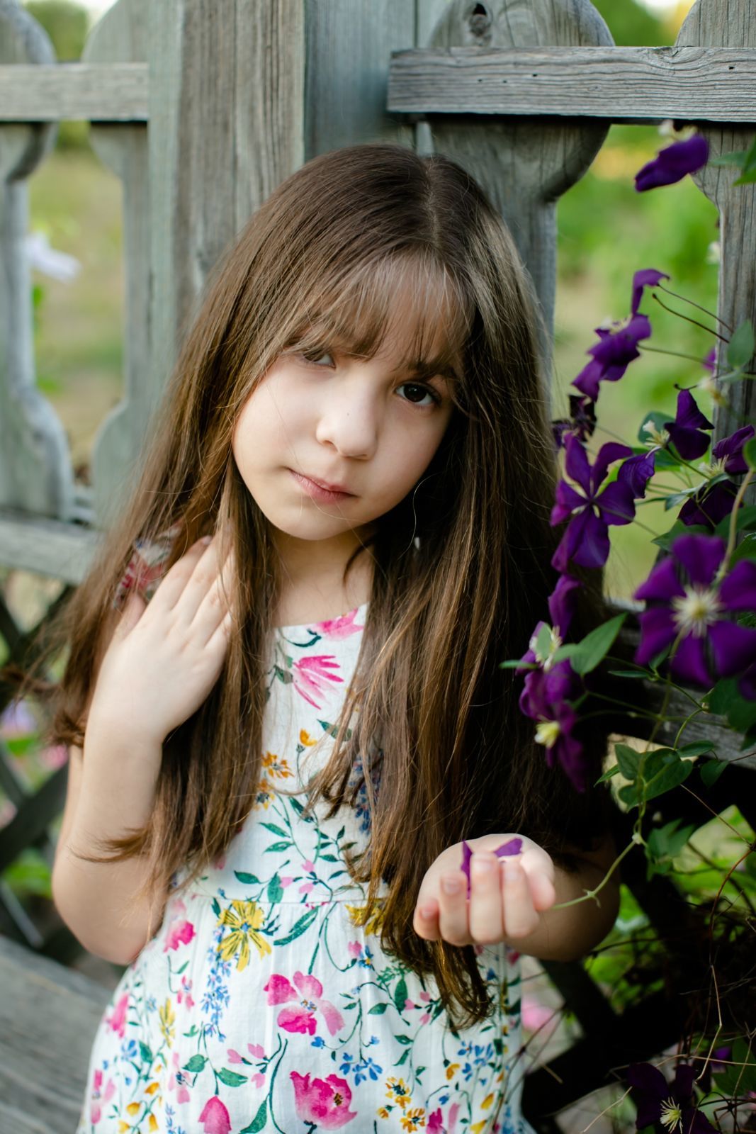 Foto Family - Ottawa / Canada  - Imagem 4