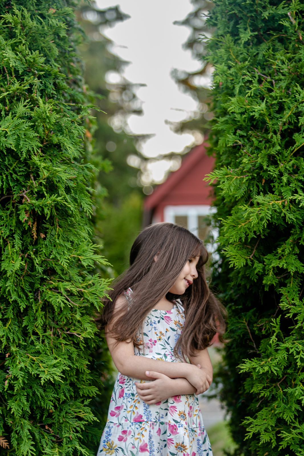 Foto Family - Ottawa / Canada  - Imagem 10