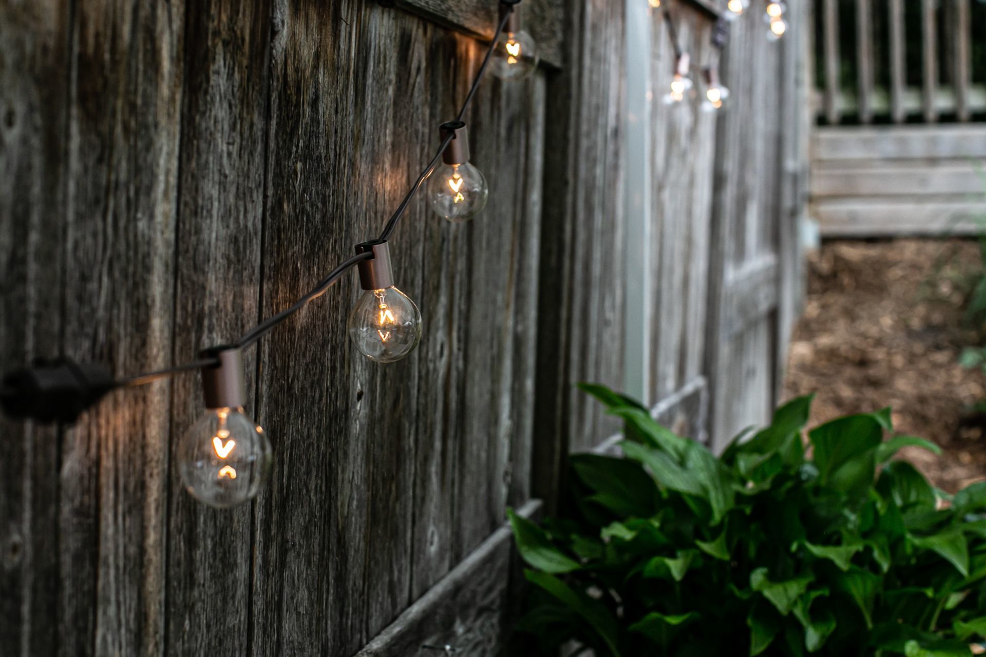 Foto Wedding - Daniel + Ingrid  - Imagem 0