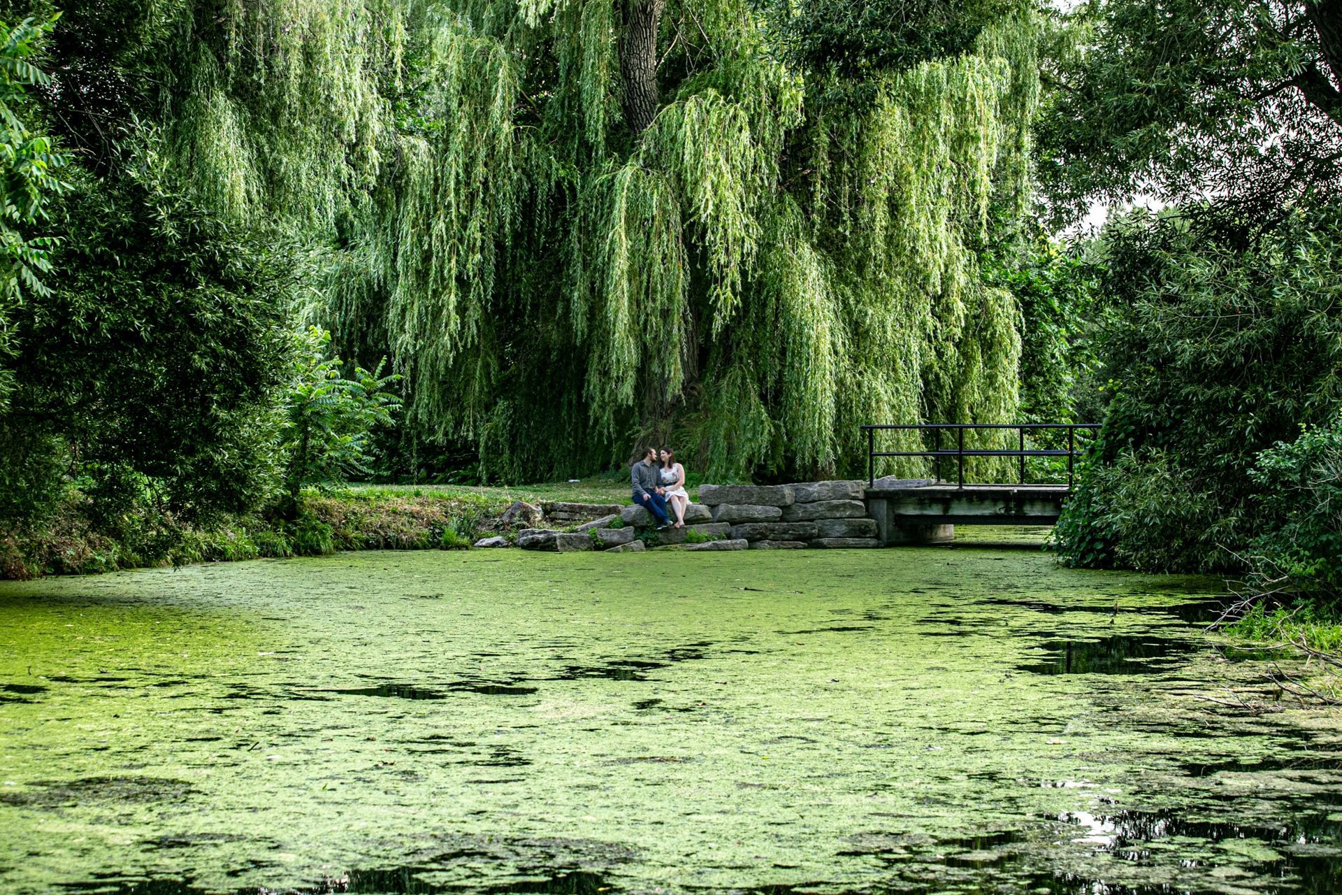 Foto Kayla + Daniel - Ottawa  - Imagem 1