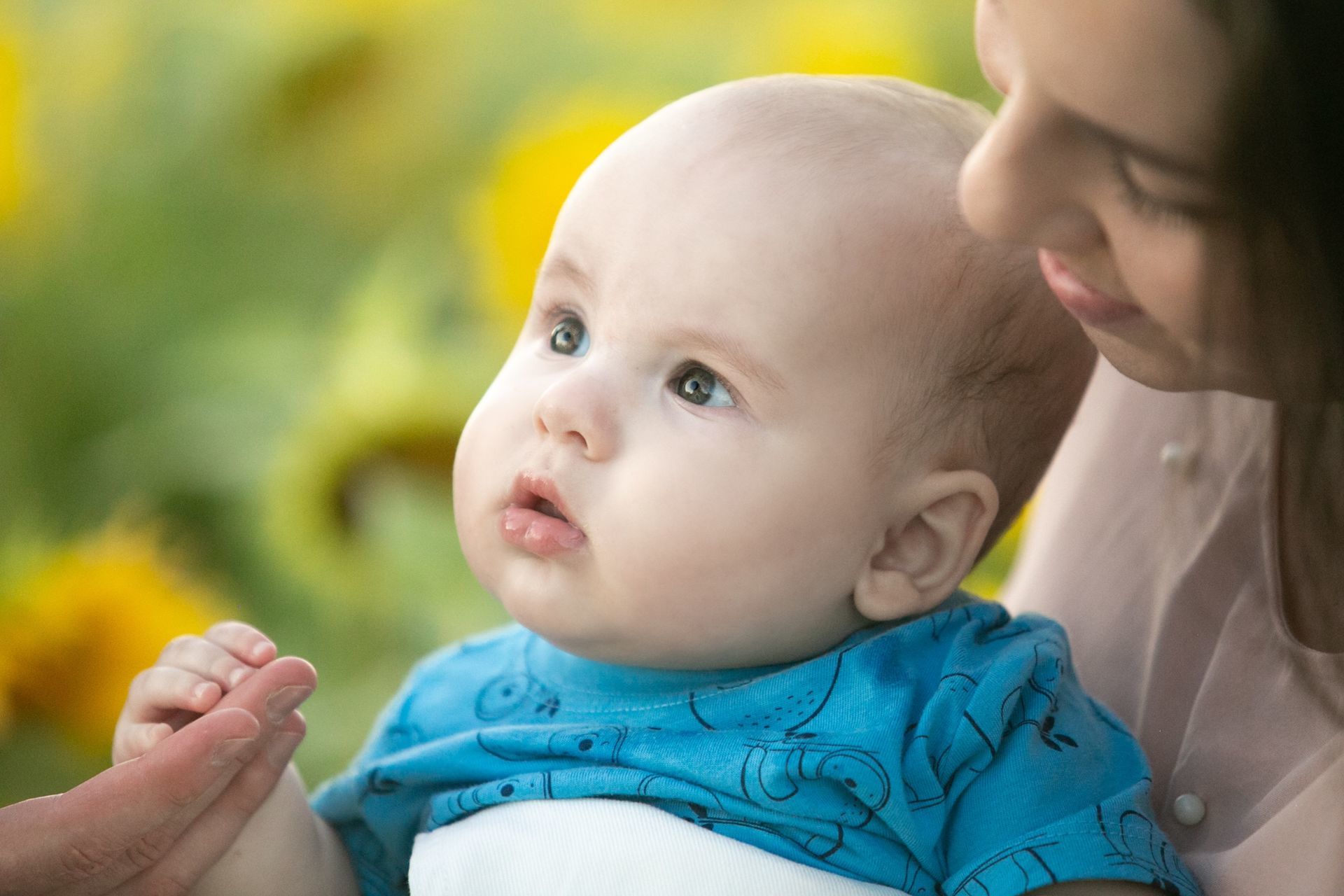 Foto Lovely Family - Ottawa  - Imagem 12