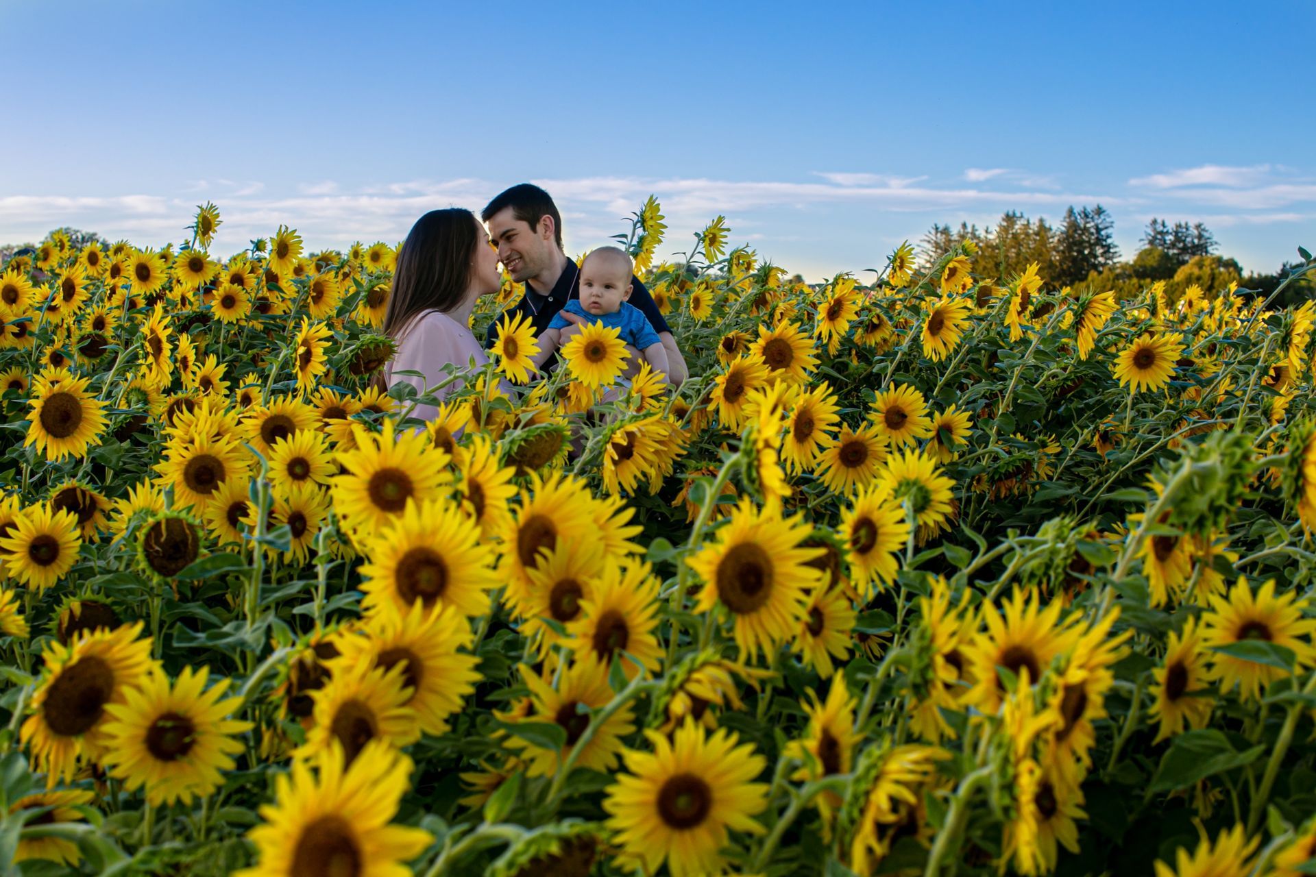 Foto Lovely Family - Ottawa  - Imagem 12