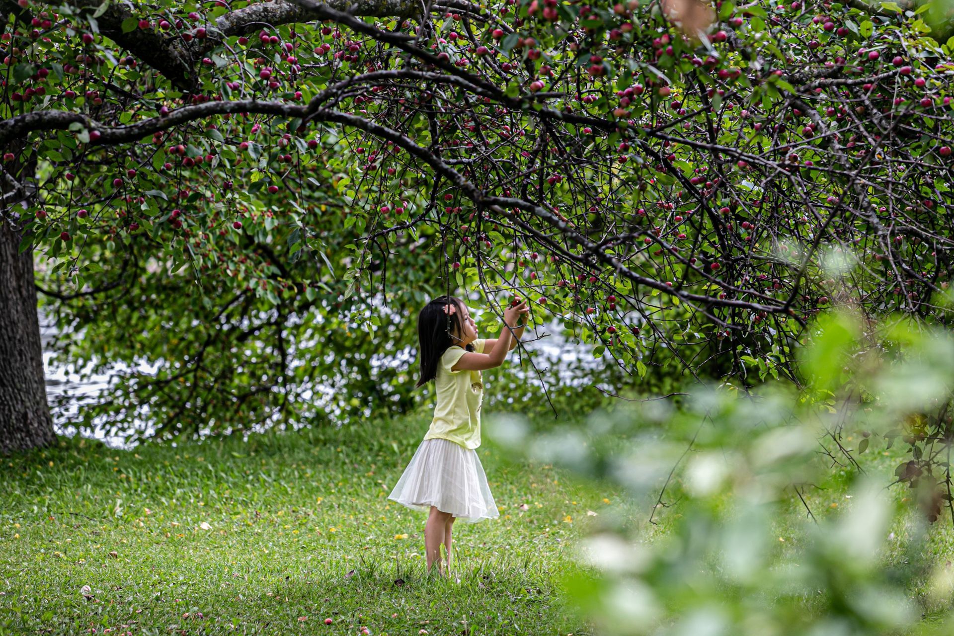 Foto Lovely Family - Ottawa   - Imagem 0