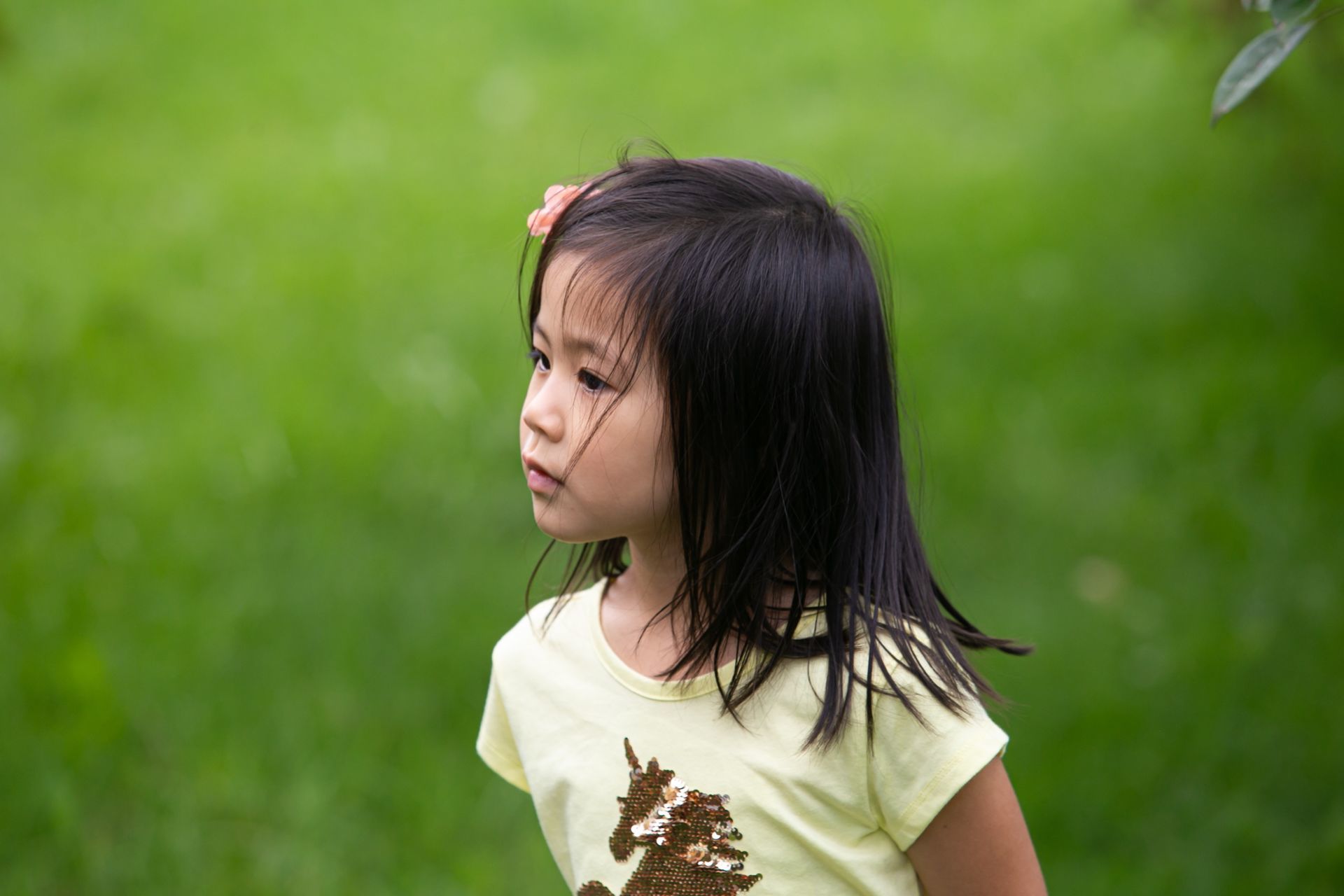 Foto Lovely Family - Ottawa   - Imagem 4