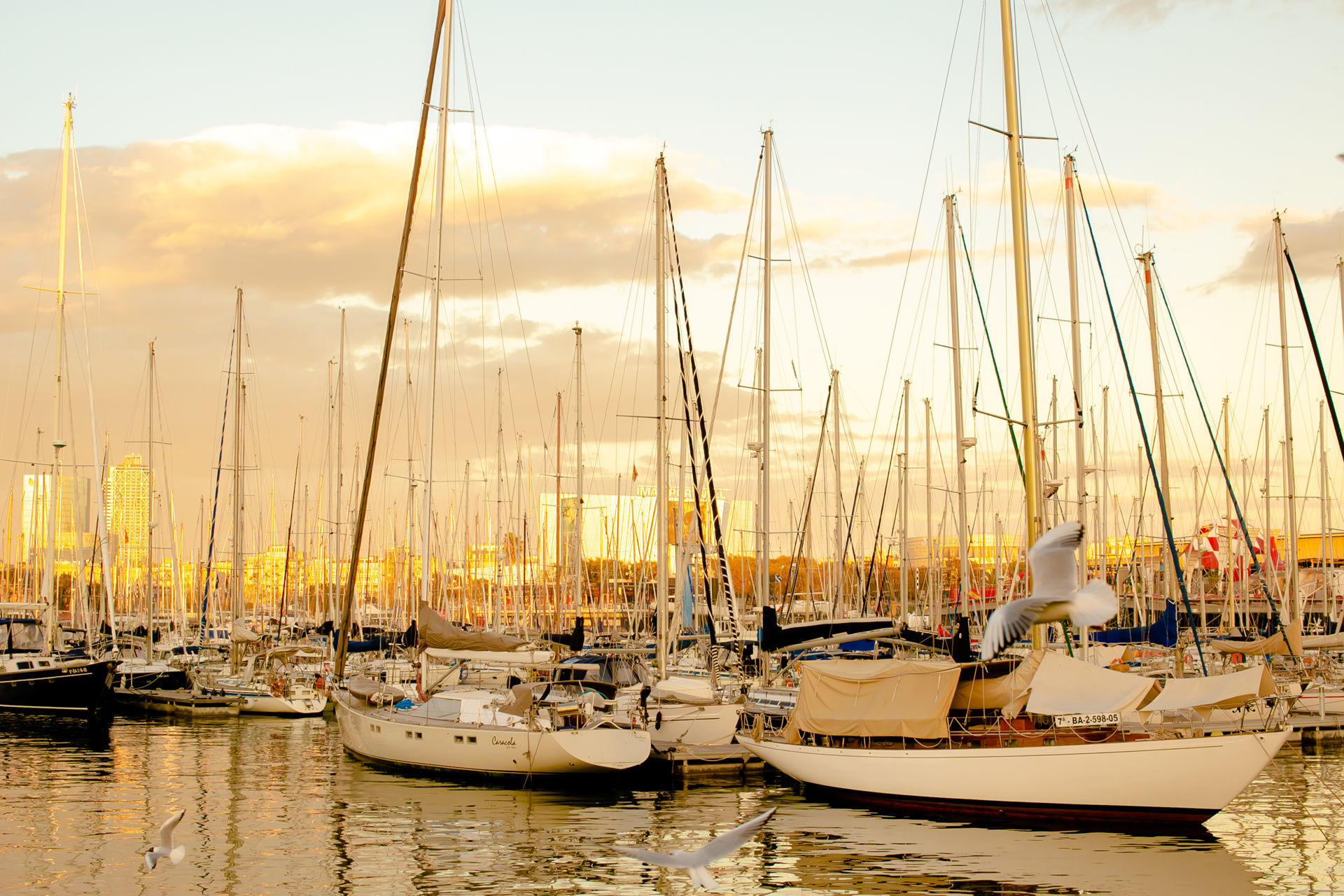 Foto Barcelona - Spain    - Imagem 11