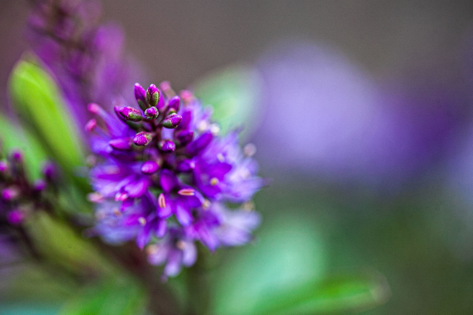 Foto Barcelona - Spain    - Imagem 27