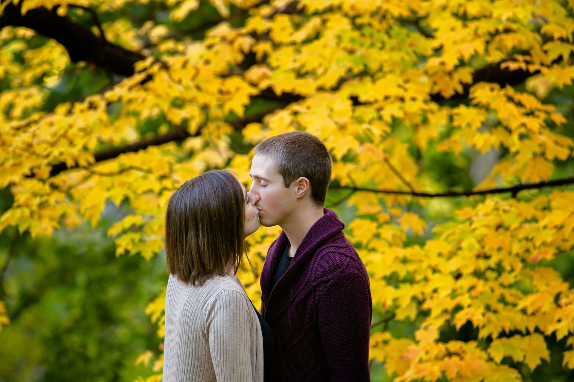 Foto Brigette + Kevin - Dominion Arboretum - Ottawa - Canada  - Imagem 0