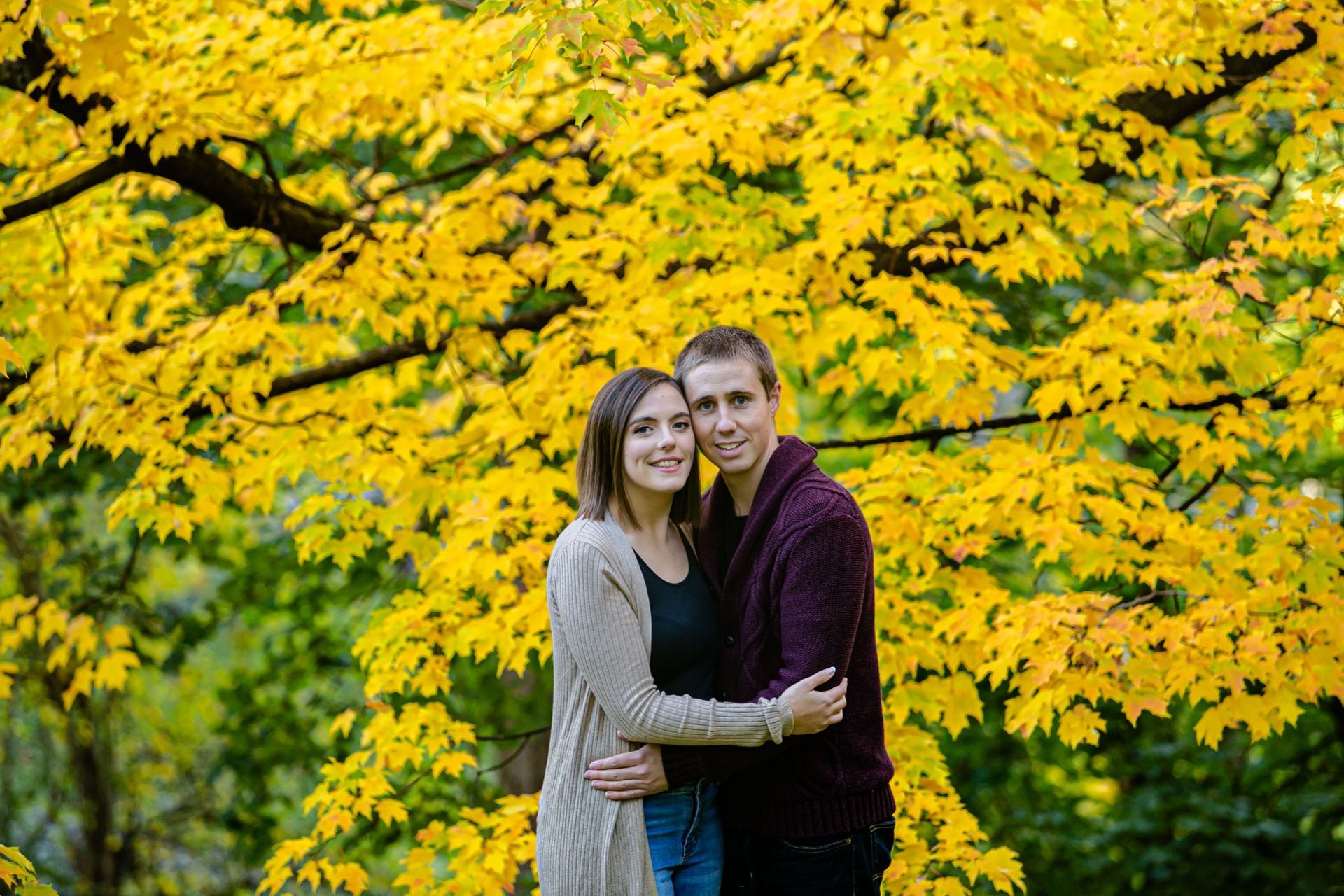 Foto Brigette + Kevin - Dominion Arboretum - Ottawa - Canada  - Imagem 14