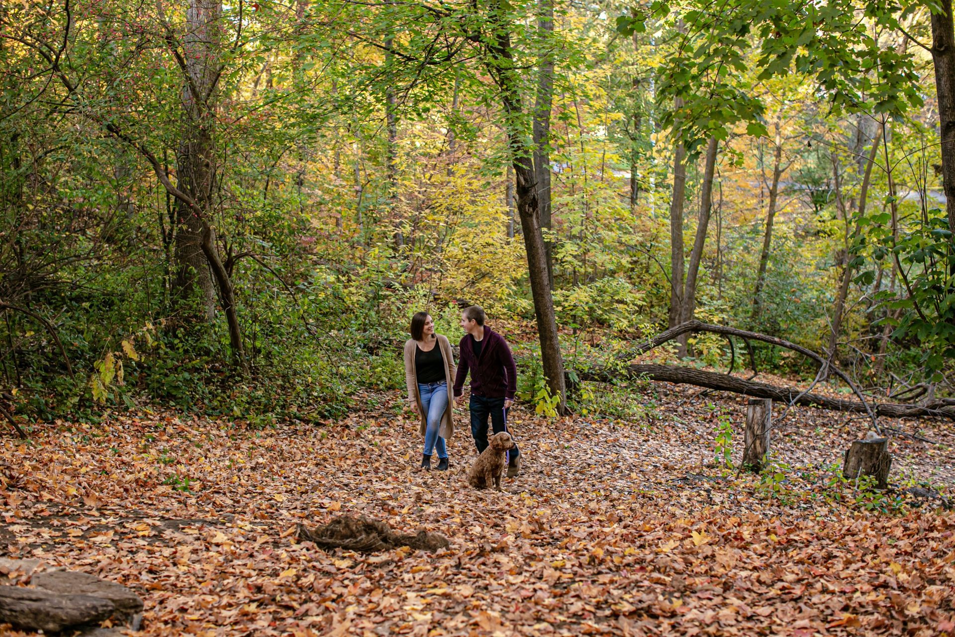 Foto Brigette + Kevin - Dominion Arboretum - Ottawa - Canada  - Imagem 12