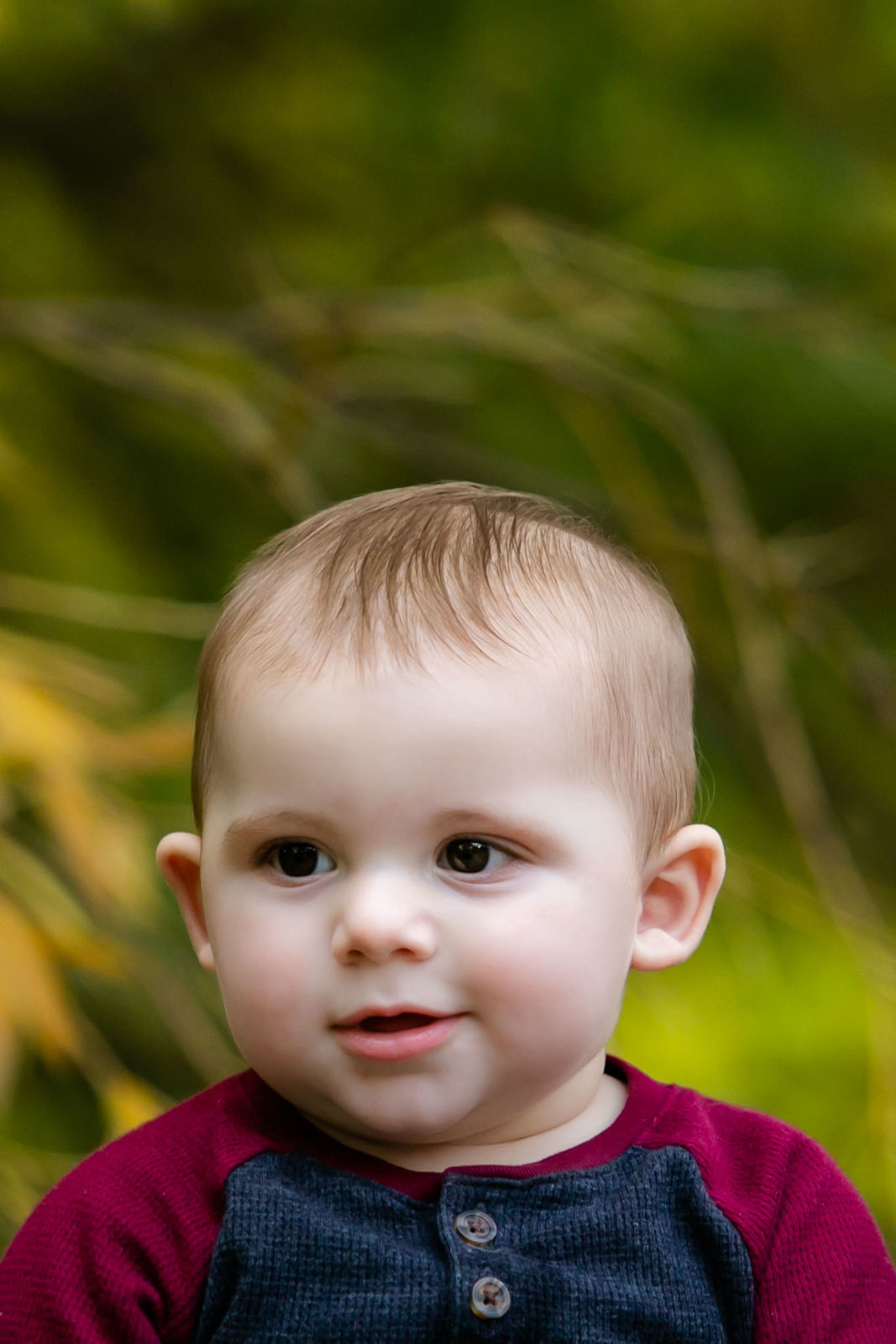 Foto Amazing Family -Ottawa Canada  - Imagem 9