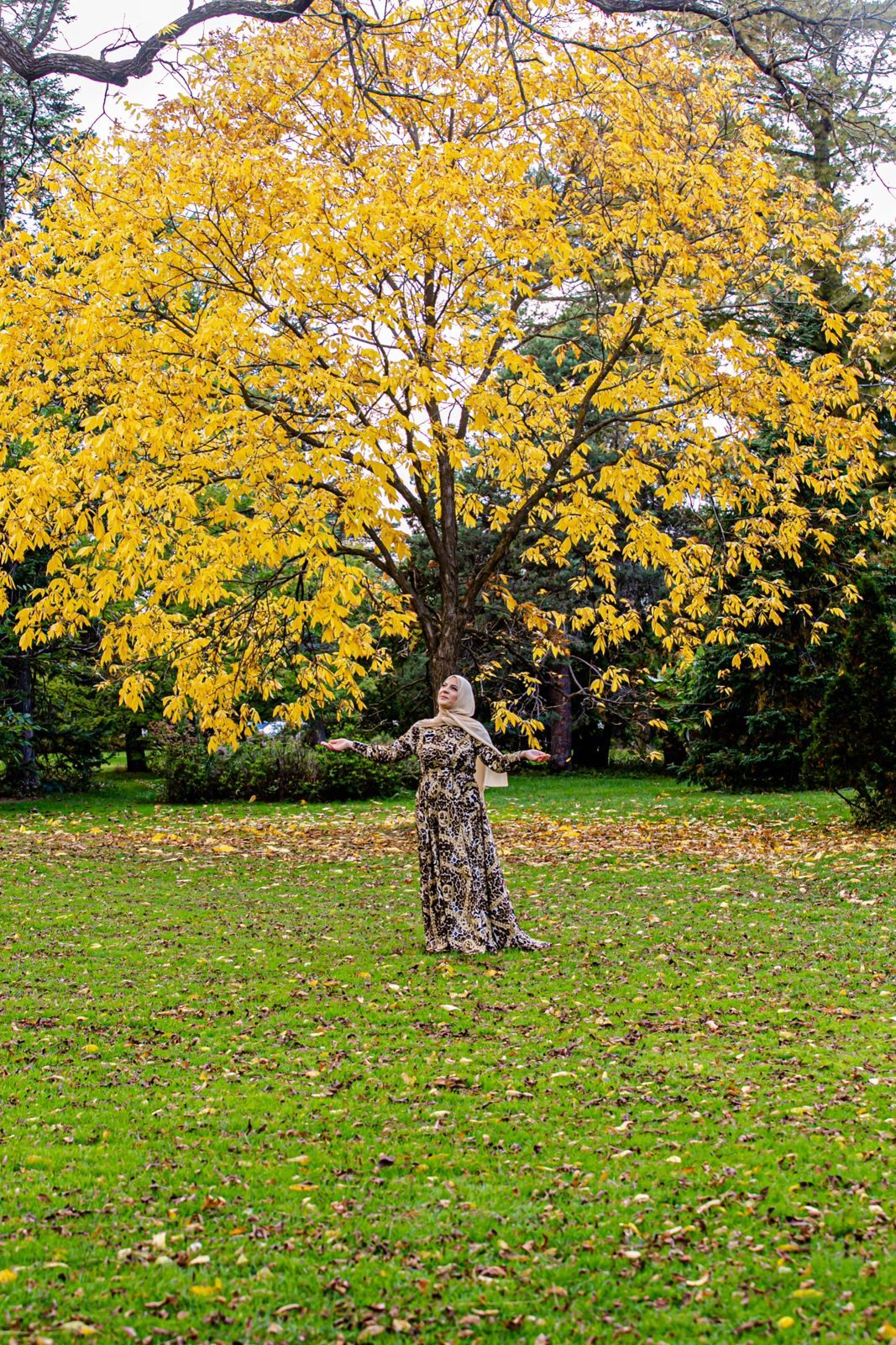 Foto Fall Session - Ottawa /  Canada  - Imagem 6