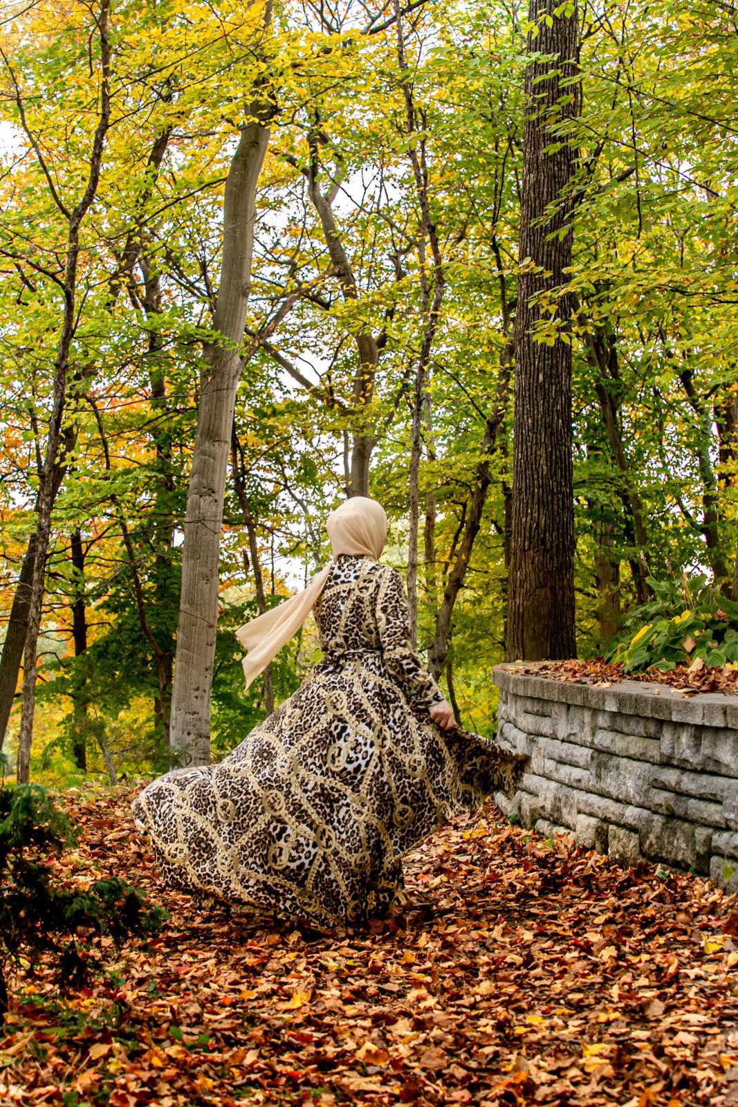 Foto Fall Session - Ottawa /  Canada  - Imagem 4