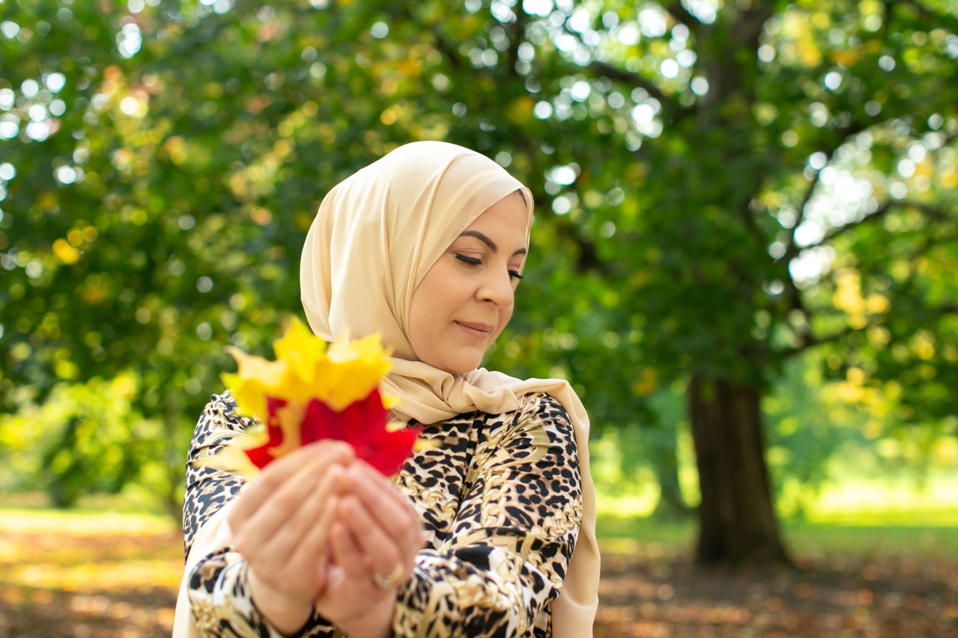 Foto Fall Session - Ottawa /  Canada  - Imagem 1