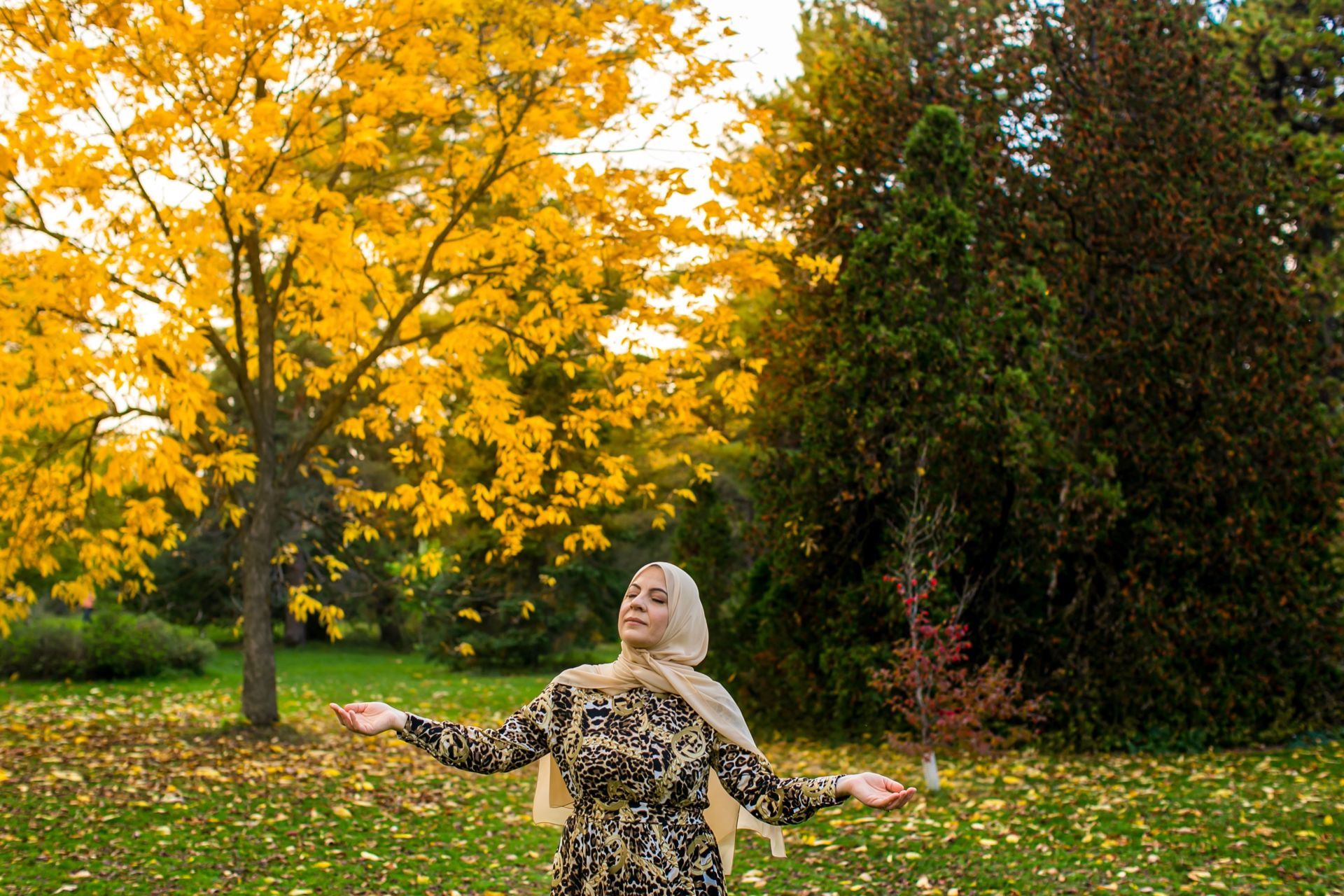 Foto Fall Session - Ottawa /  Canada  - Imagem 10
