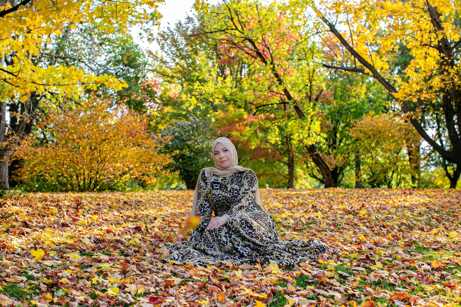 Fall Session - Ottawa /  Canada 