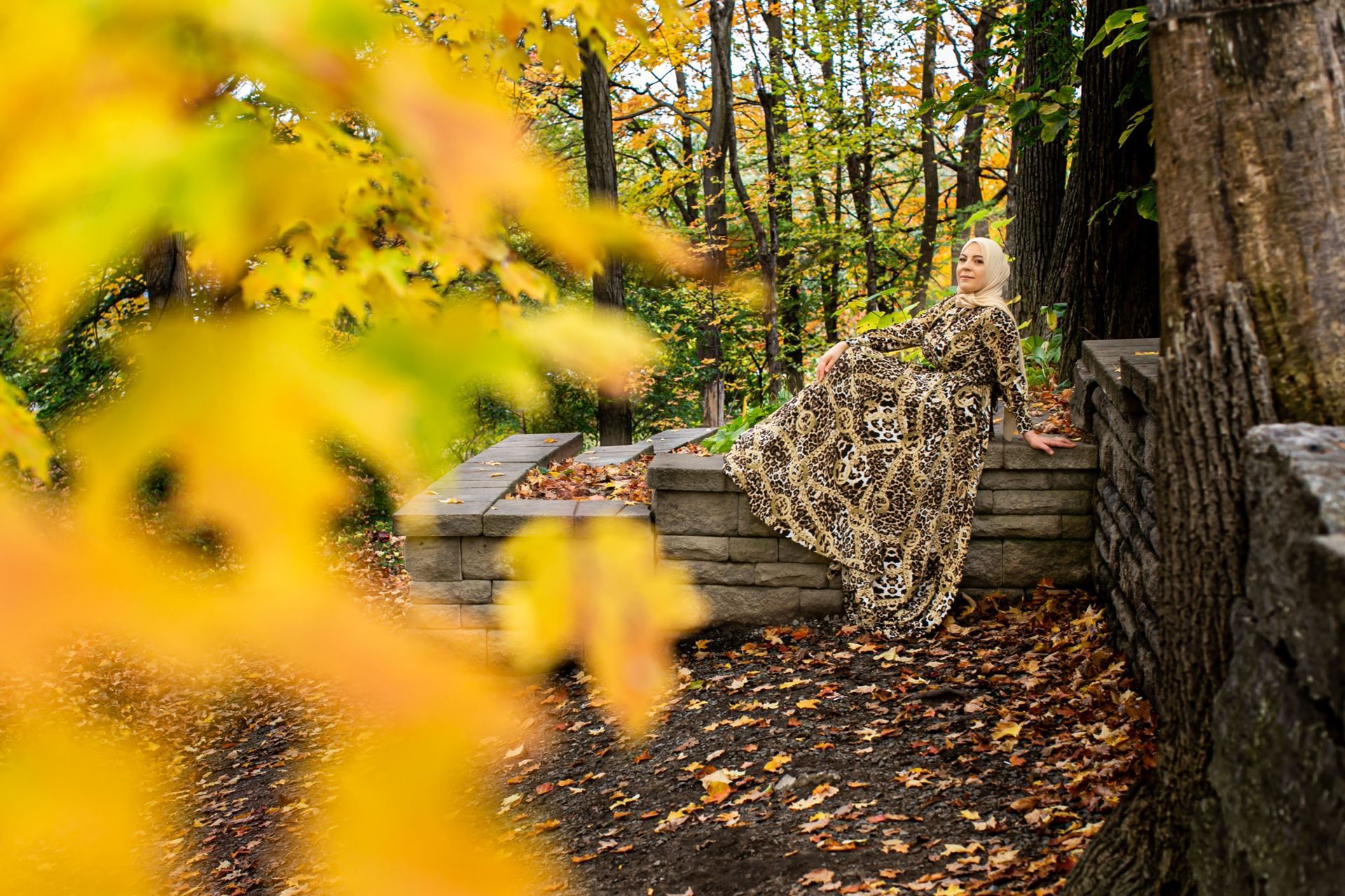 Foto Fall Session - Ottawa /  Canada  - Imagem 3