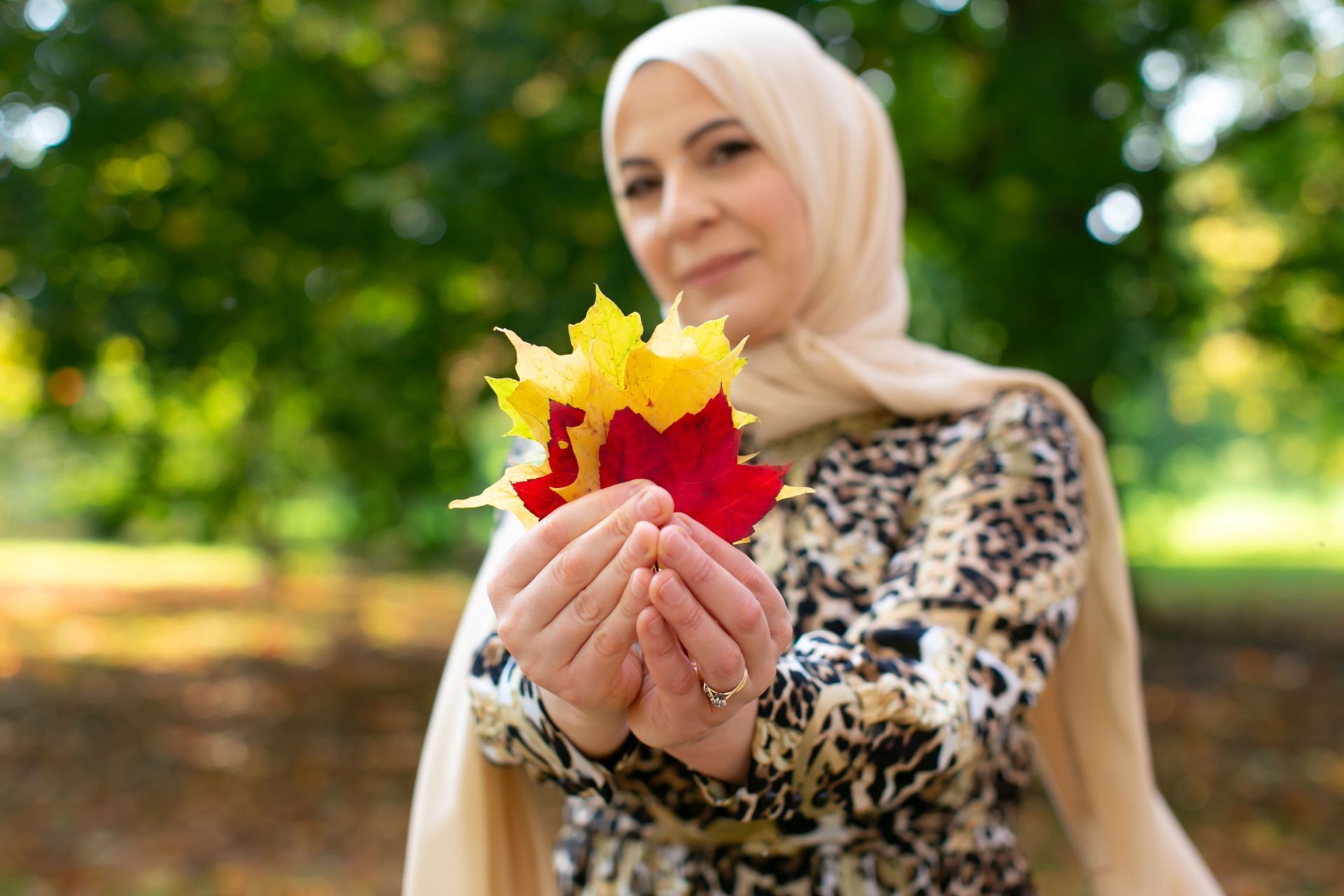 Foto Fall Session - Ottawa /  Canada  - Imagem 8