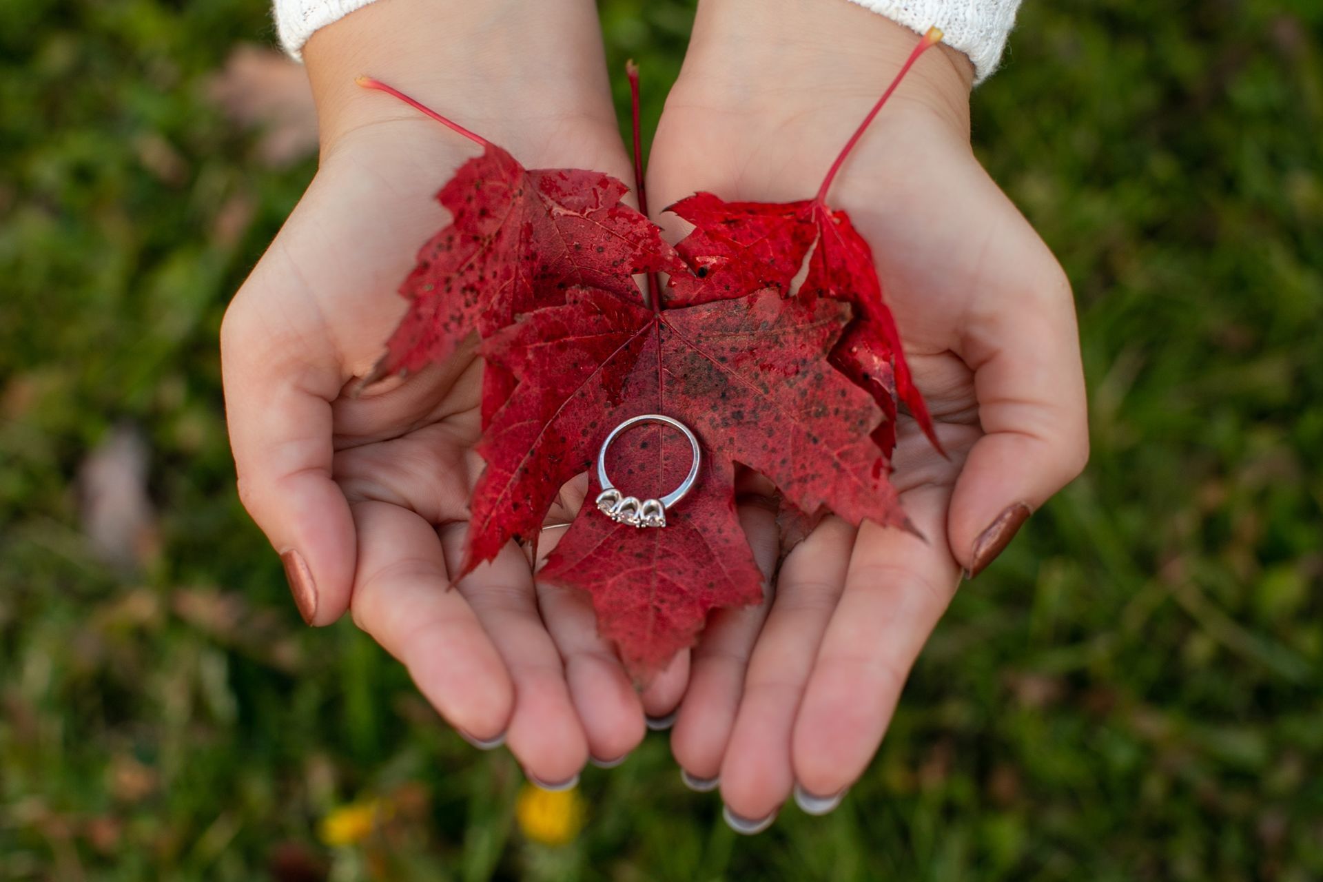 Foto Zachary + Sarah - Ottawa / Canada  - Imagem 1