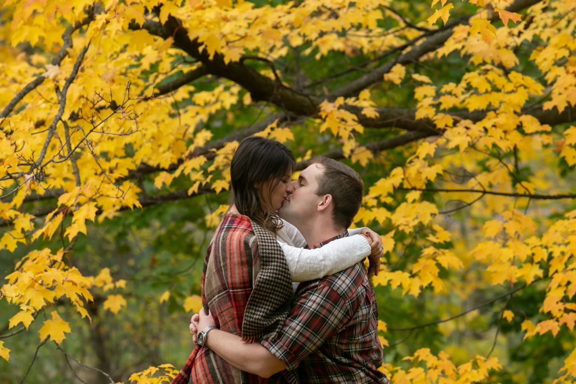 Foto Zachary + Sarah - Ottawa / Canada  - Imagem 7