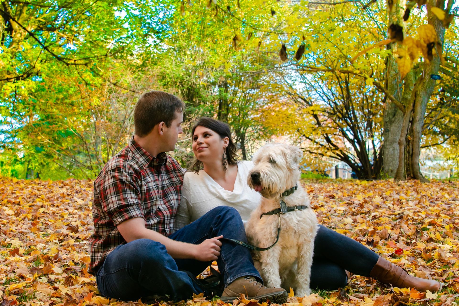 Foto Zachary + Sarah - Ottawa / Canada  - Imagem 2