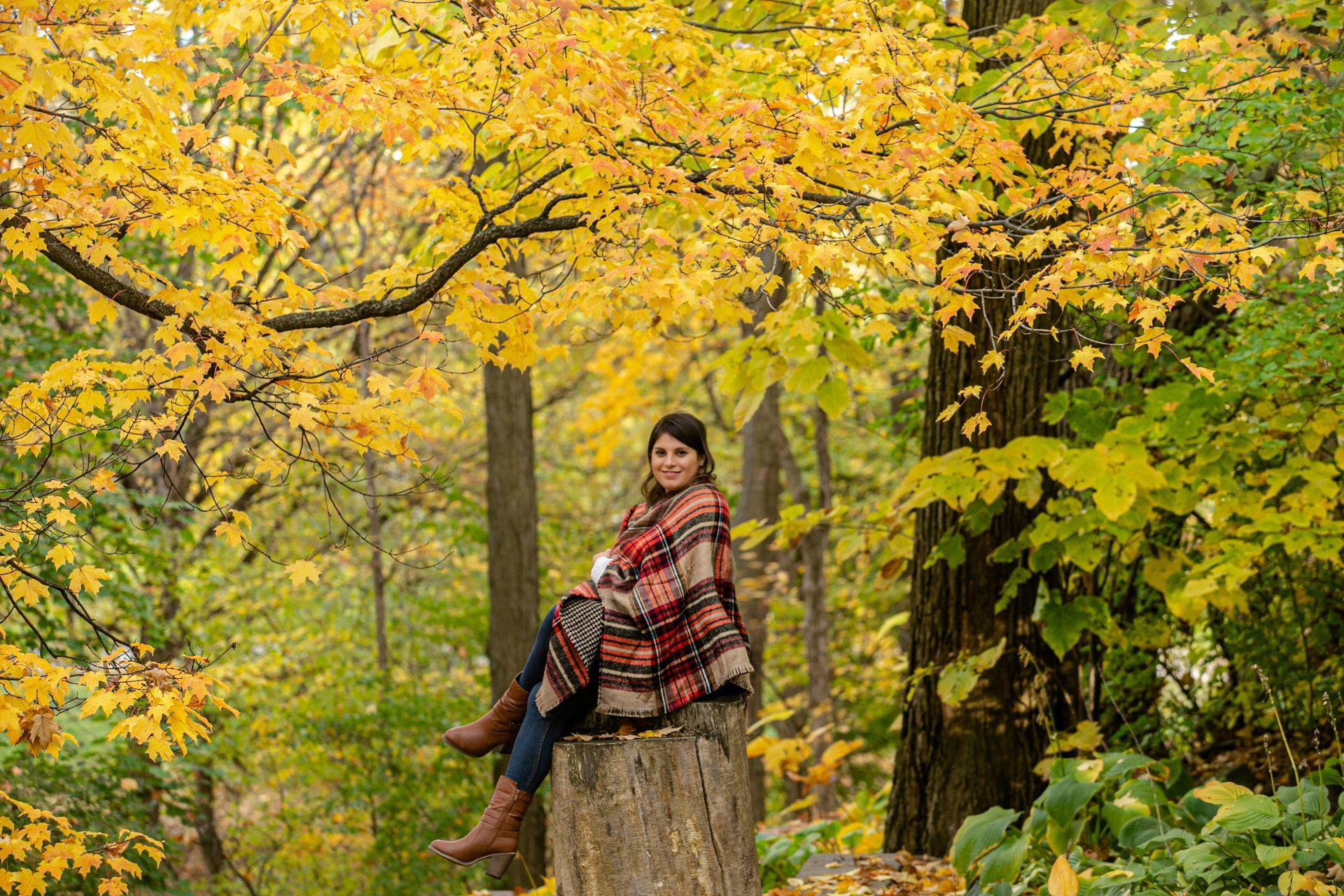 Foto Zachary + Sarah - Ottawa / Canada  - Imagem 10